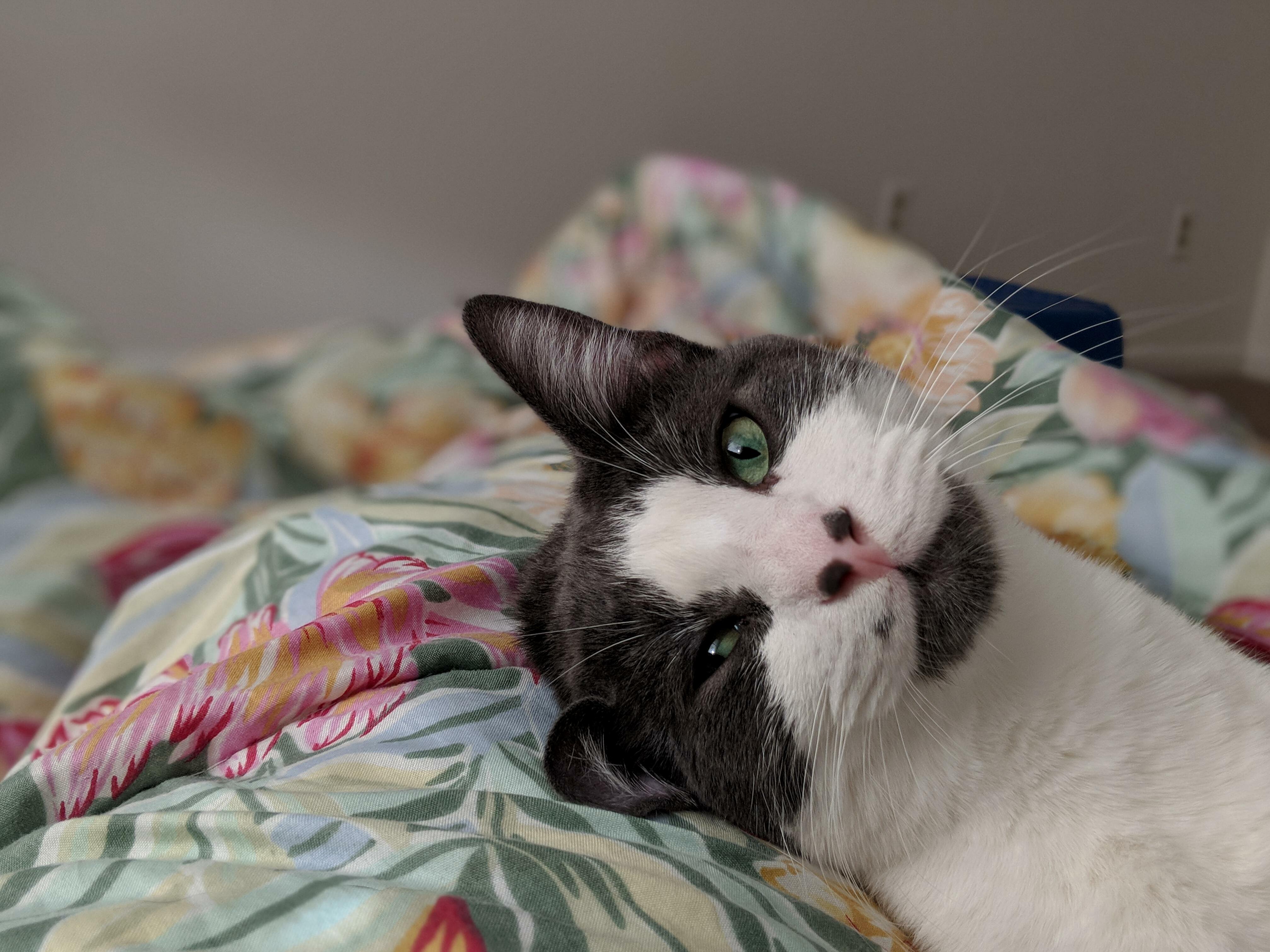 Hes Been a Bit Distant Lately but Today His Loving Came Back.