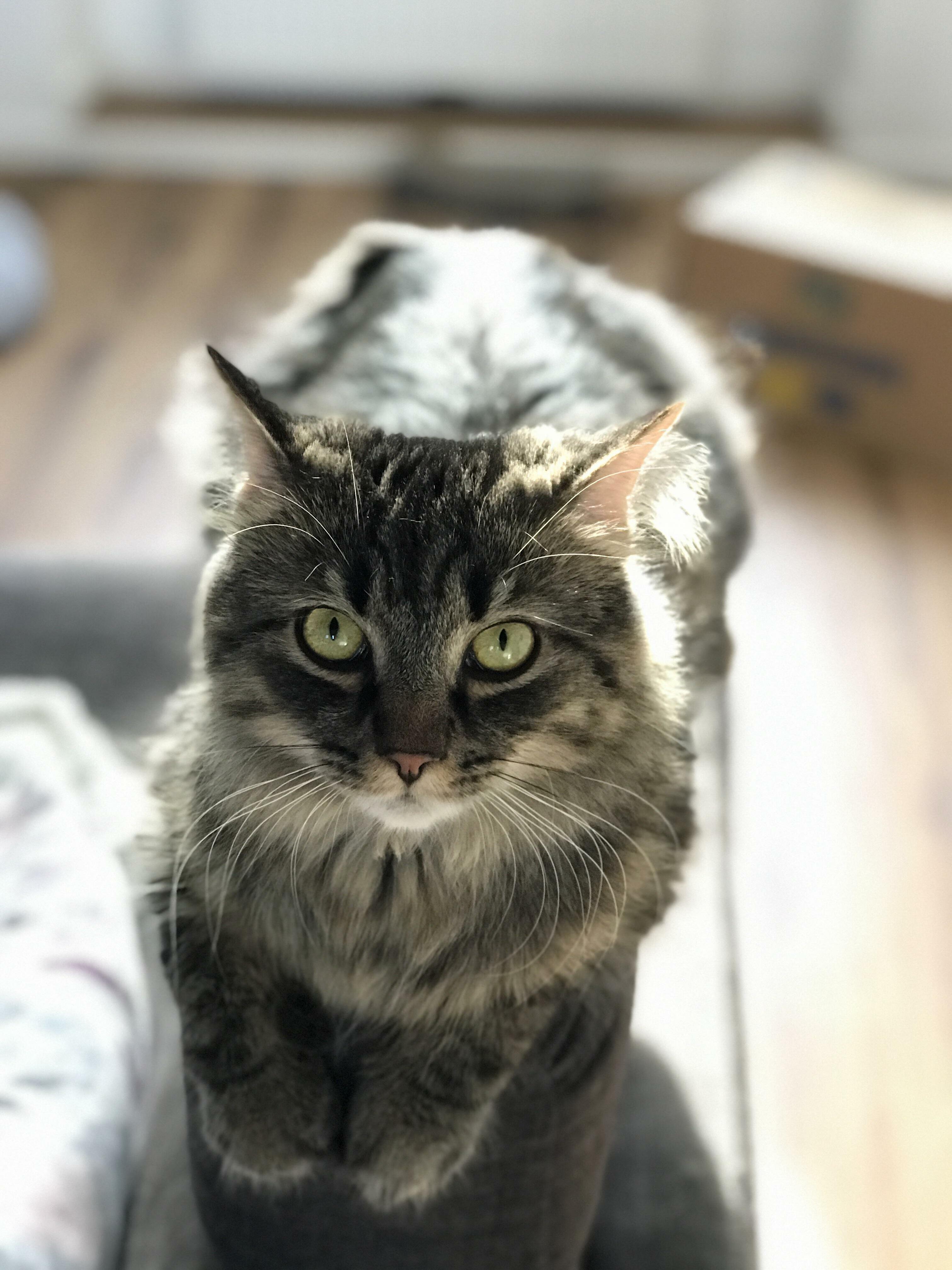 His Favorite Place