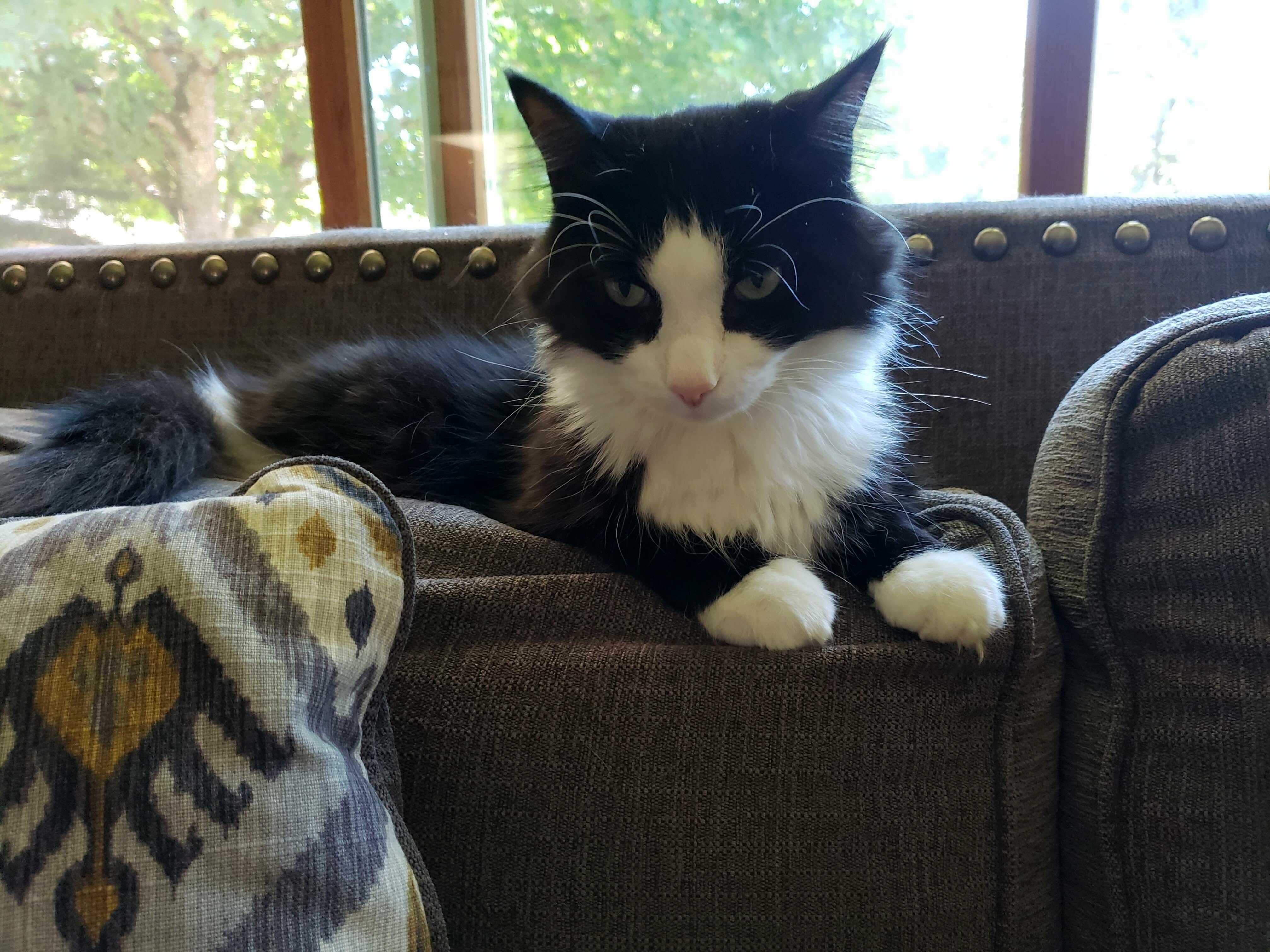 His Favorite Spot Lately