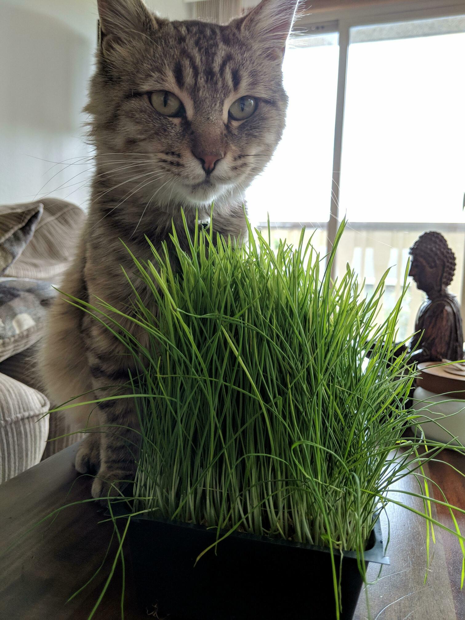 Hooman What Is This You Have Brought Me