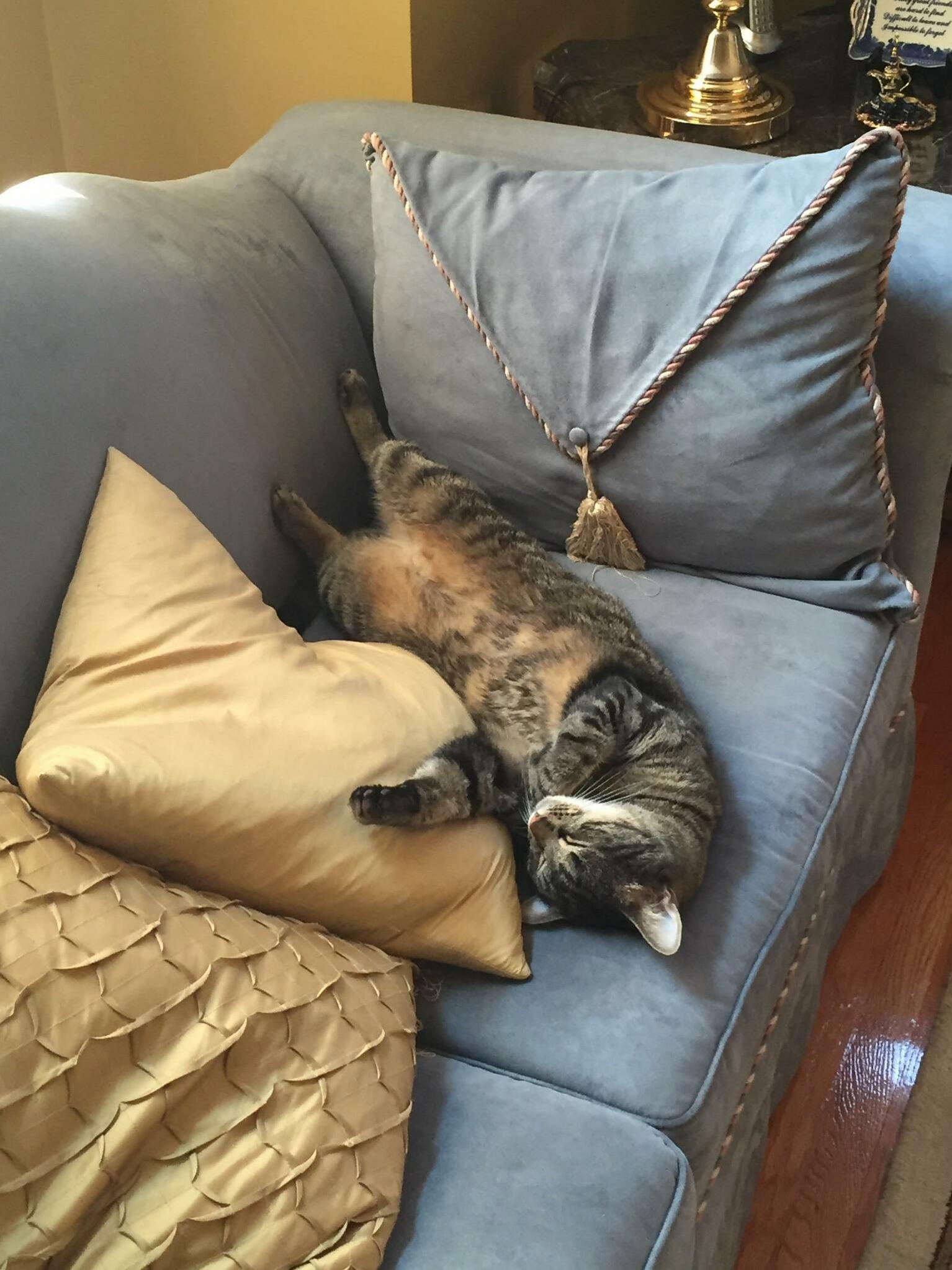 I Guess This Is His Spot Now