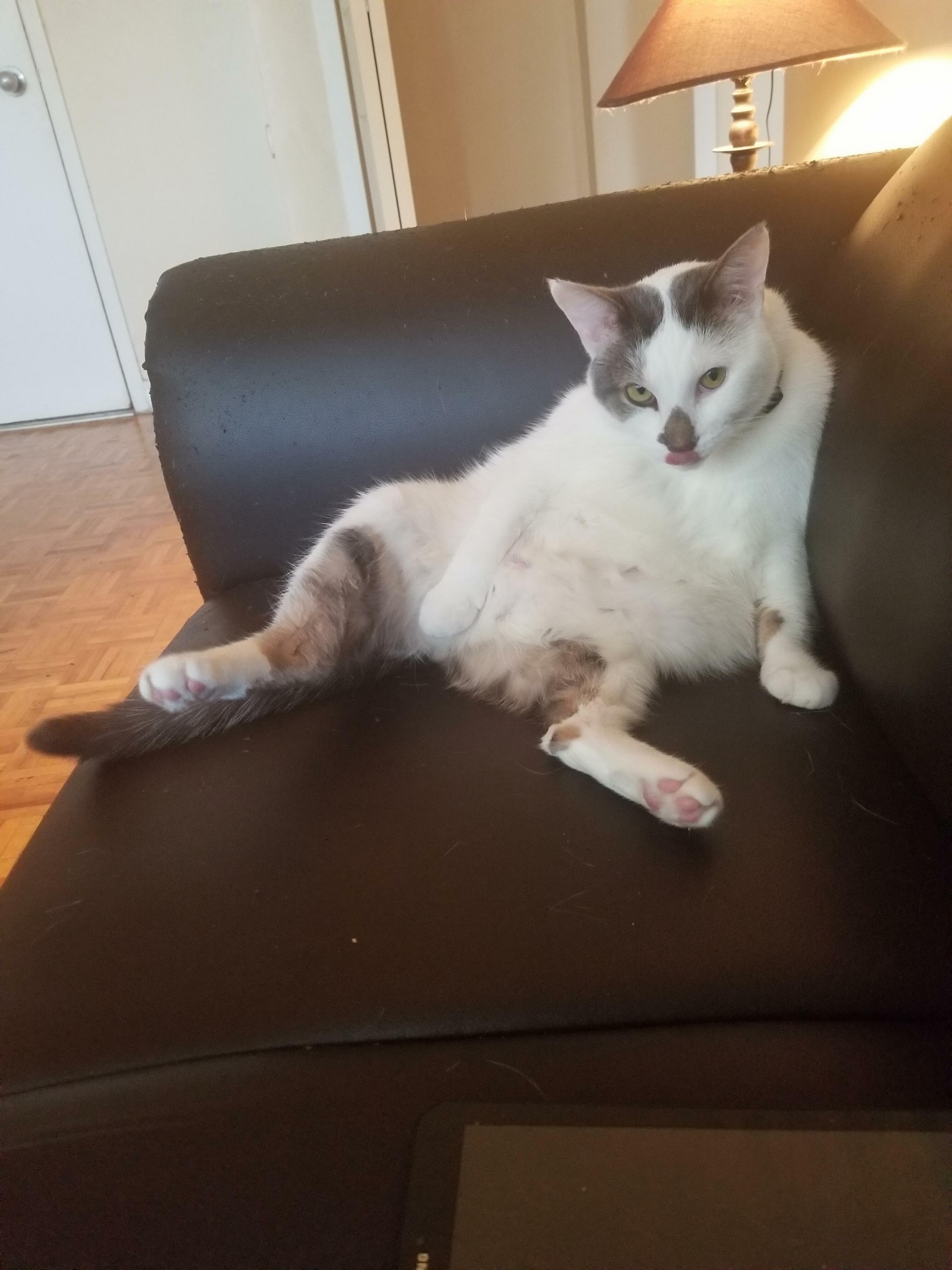 I Sit Like You