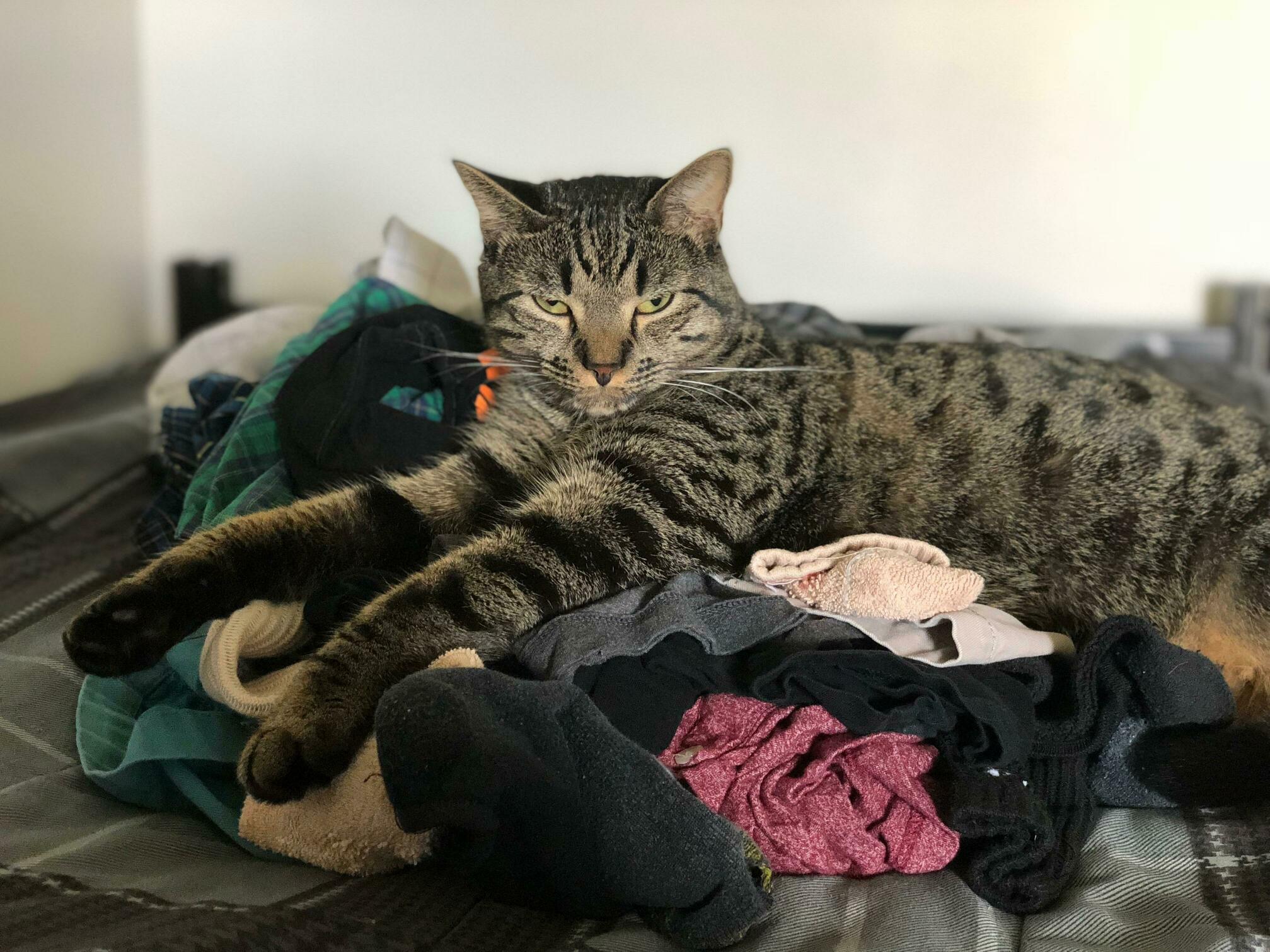 I Woke Him Up. He Wasnt Happy About It.