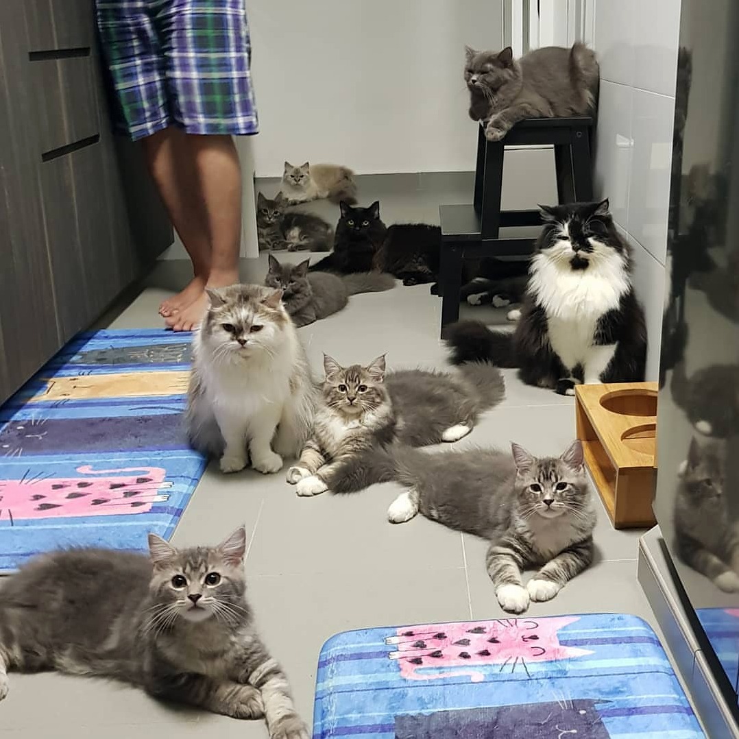 Its Dinner Time!