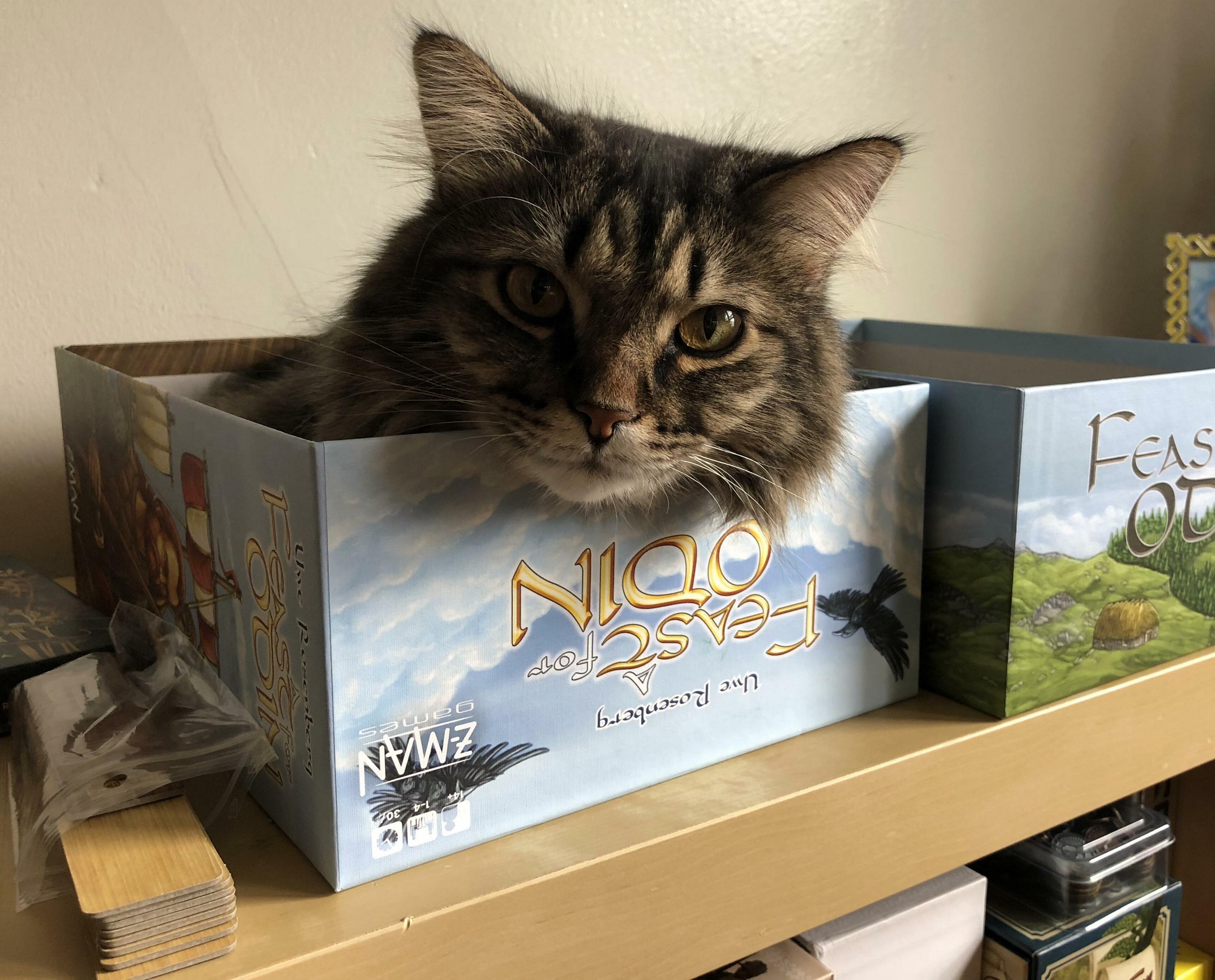 Its His Favorite Game...