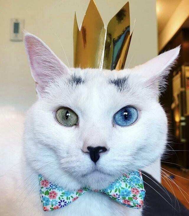 Its My Birthday!
