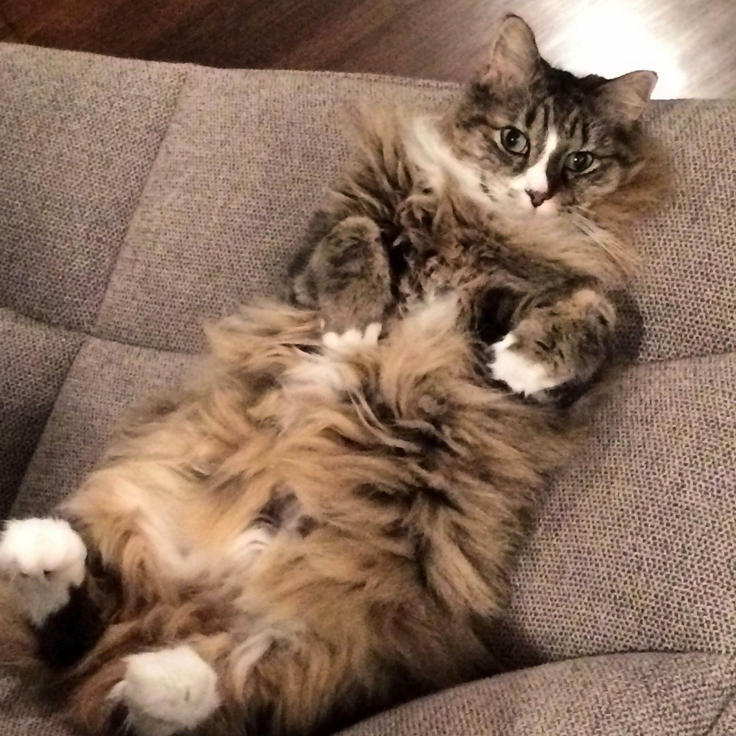 Im Ready for My Close-up