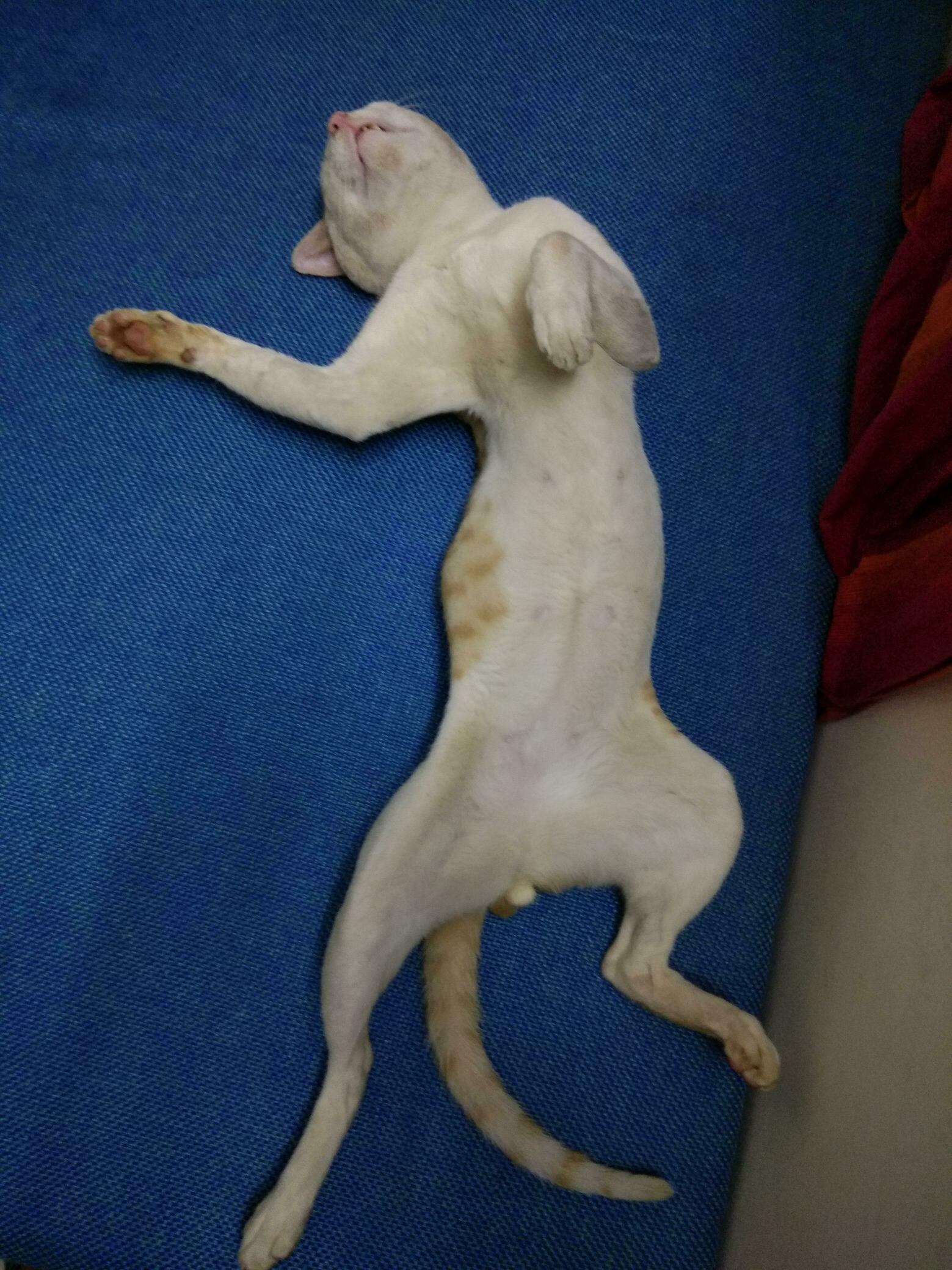 John Wick in Yoga Mode !!