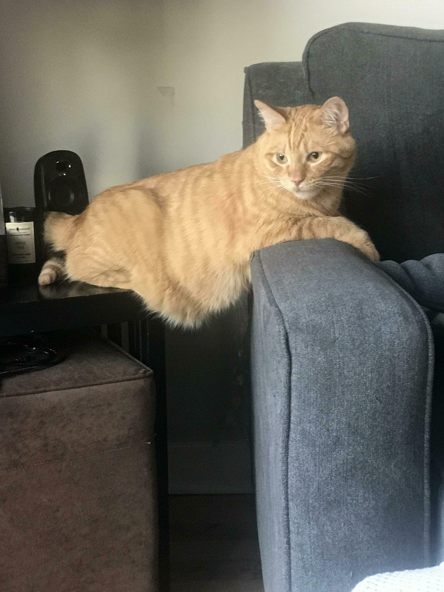 Just Lettin It All Hang Out