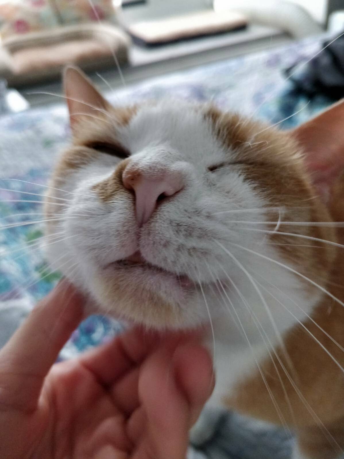 Just Wanted to Share a Pic of My Best Bud