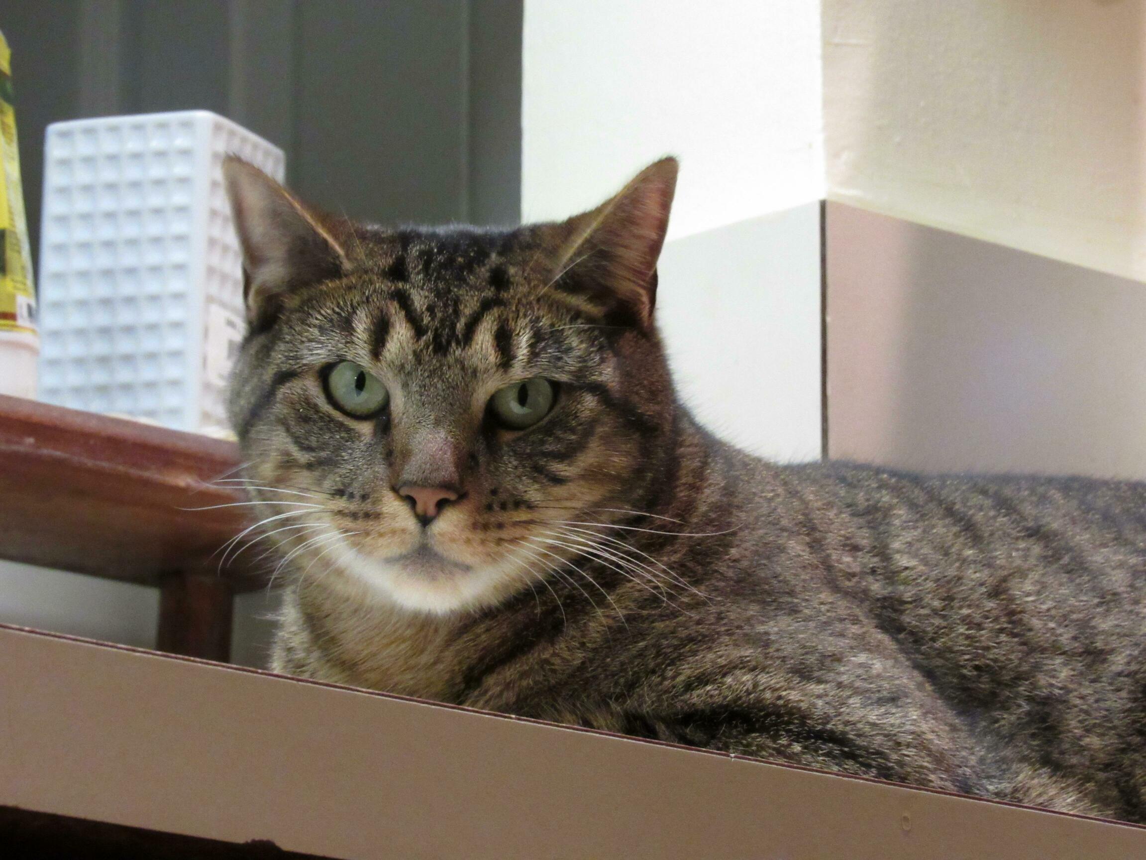 Larry Shot Me This Look When I Wouldnt Share My Dinner