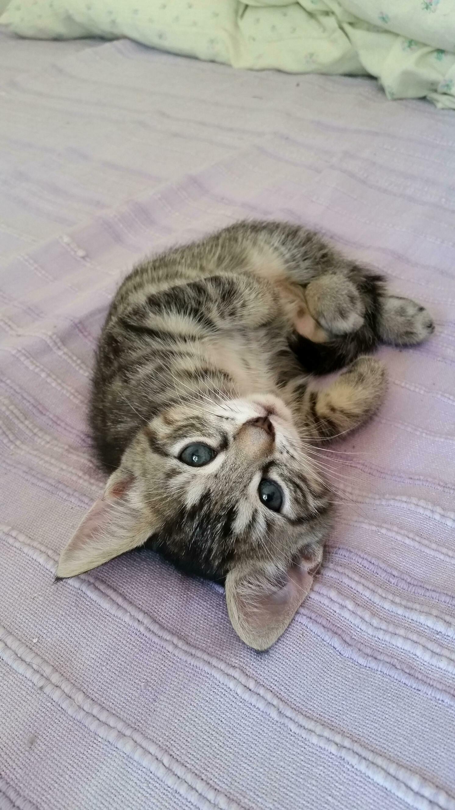 Laura Is 2 Months Old Now