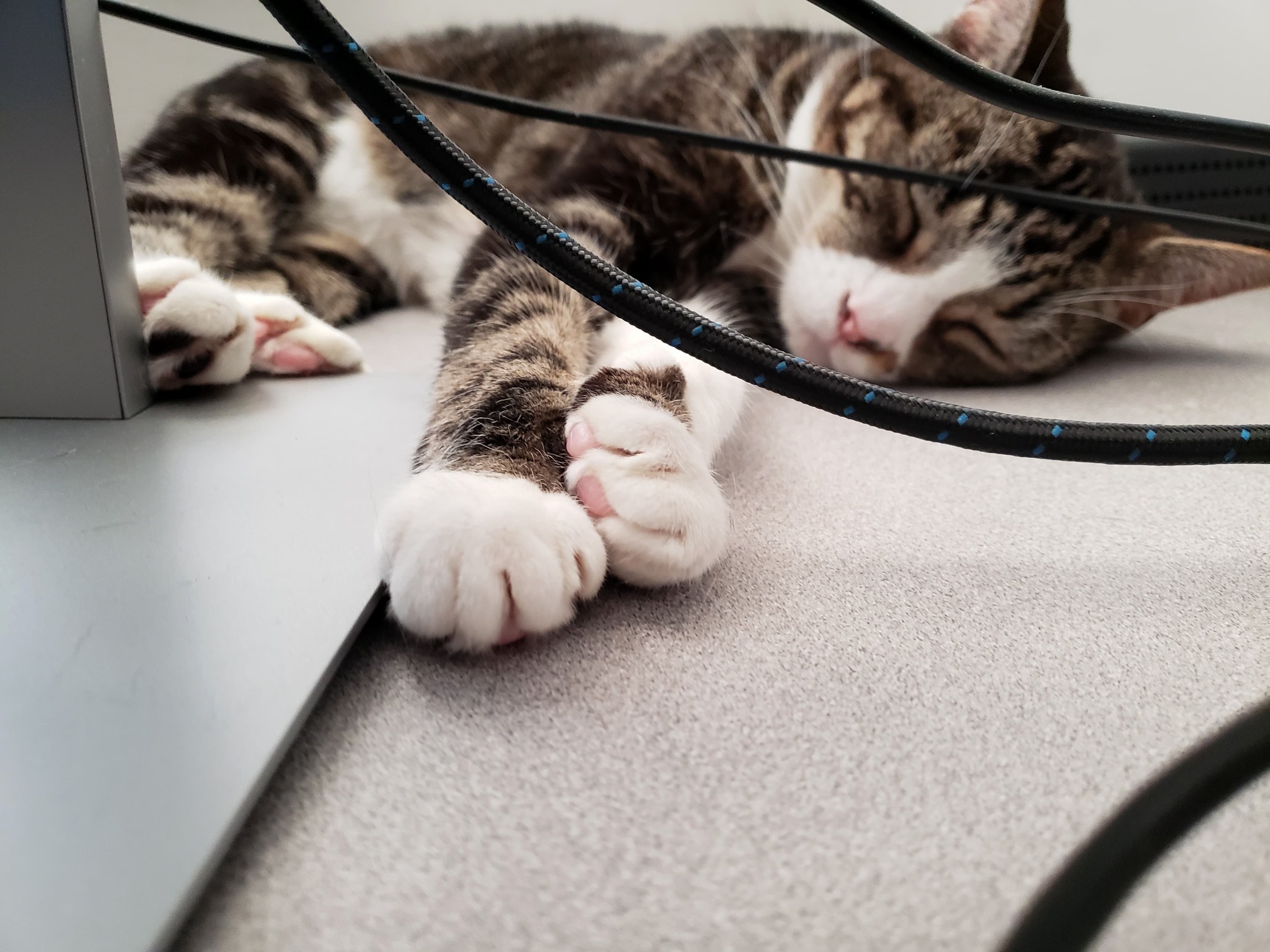 Little Toe Beans and Snoozes. She Is Just So Precious.