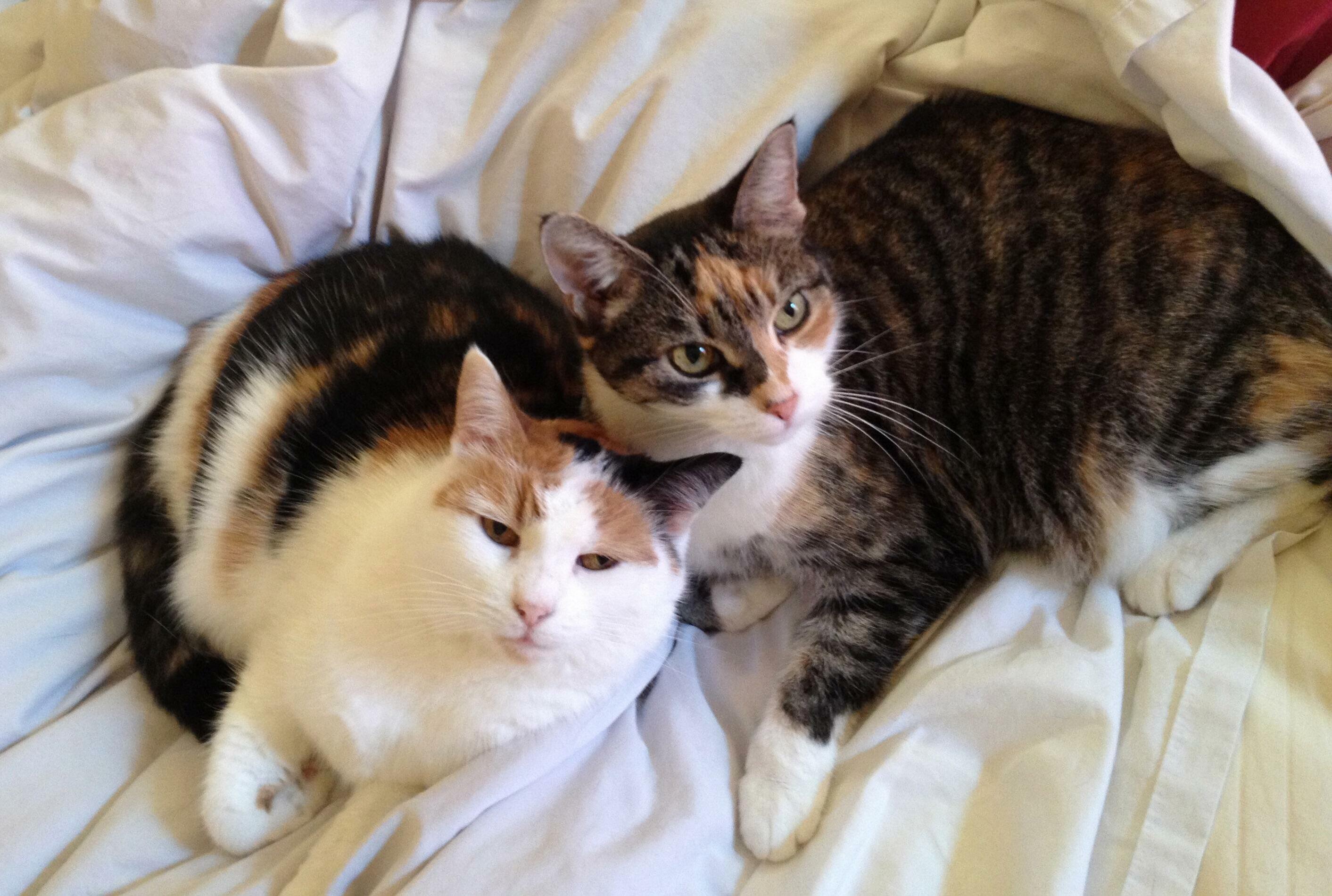 Mama on the Right, Baby on the Left! a Rare Moment of Sweetness...
