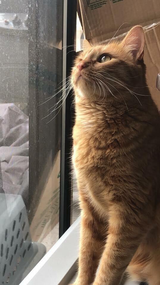 Margo Ritas First Professional Headshot. Think She Has a Shot at Achieving Her Modeling Dream
