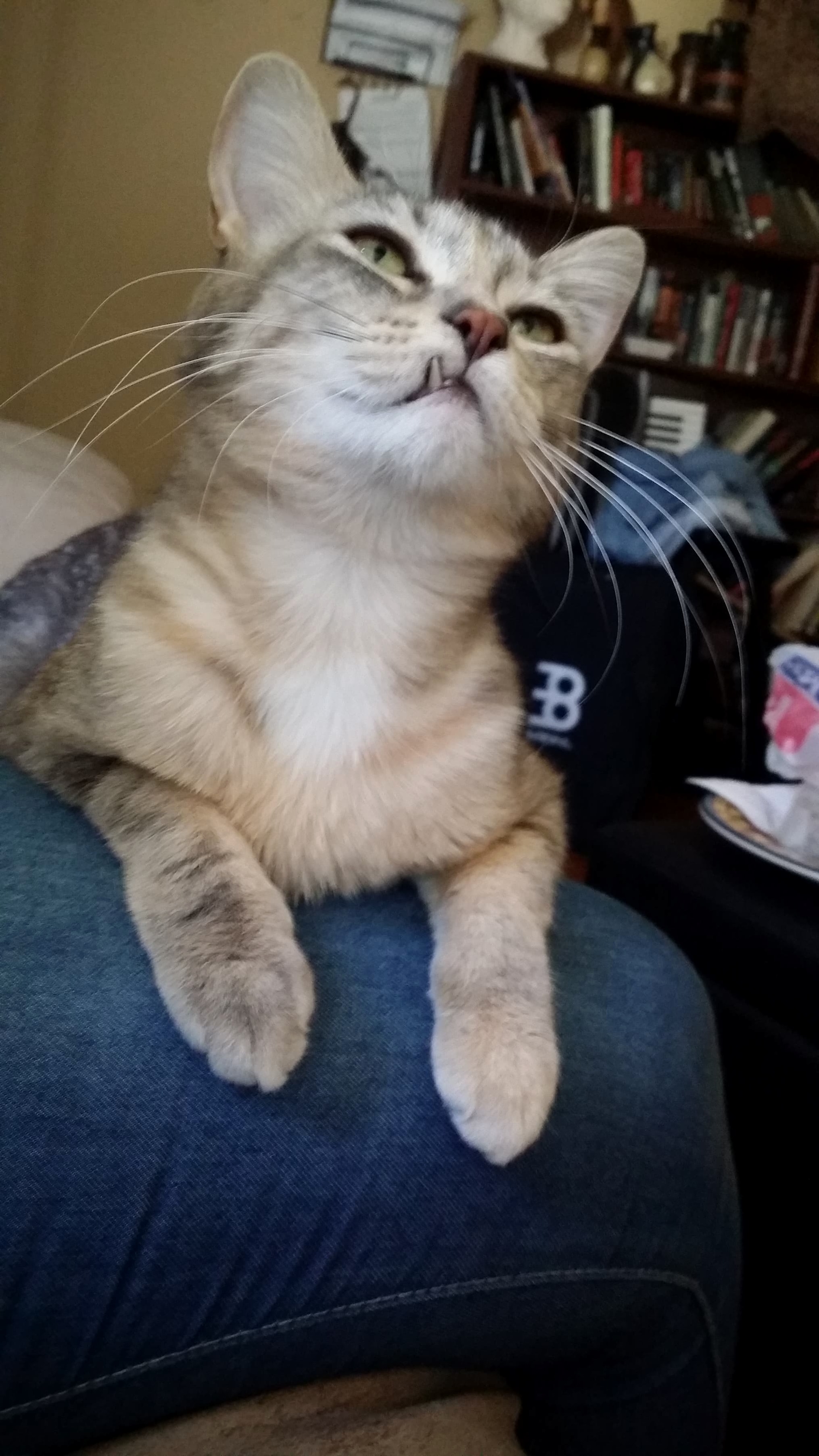 Mercury and Her Underbite