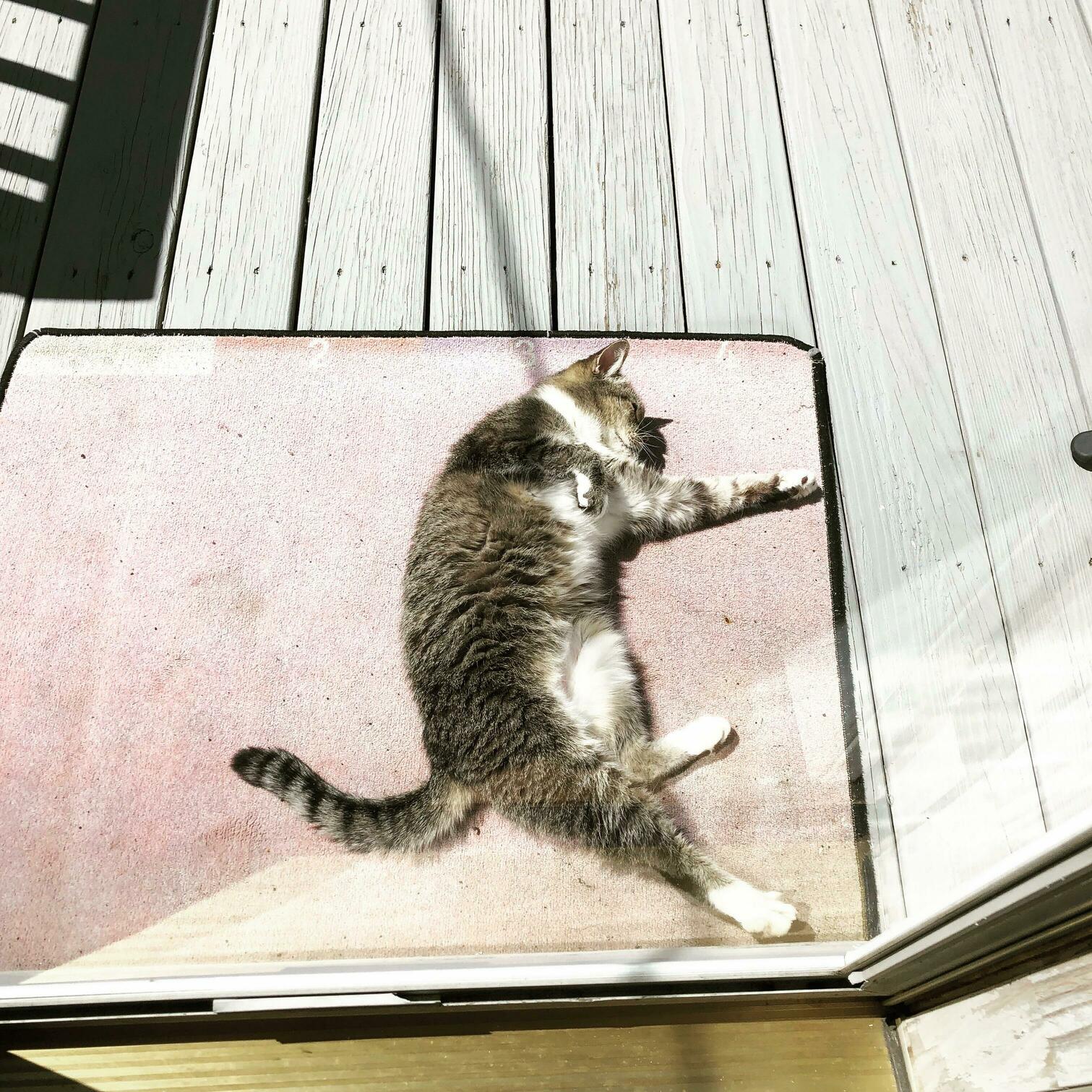 Mommy, I Cant Hold on This Position Too Long- Bring My Guitar , Hurry!