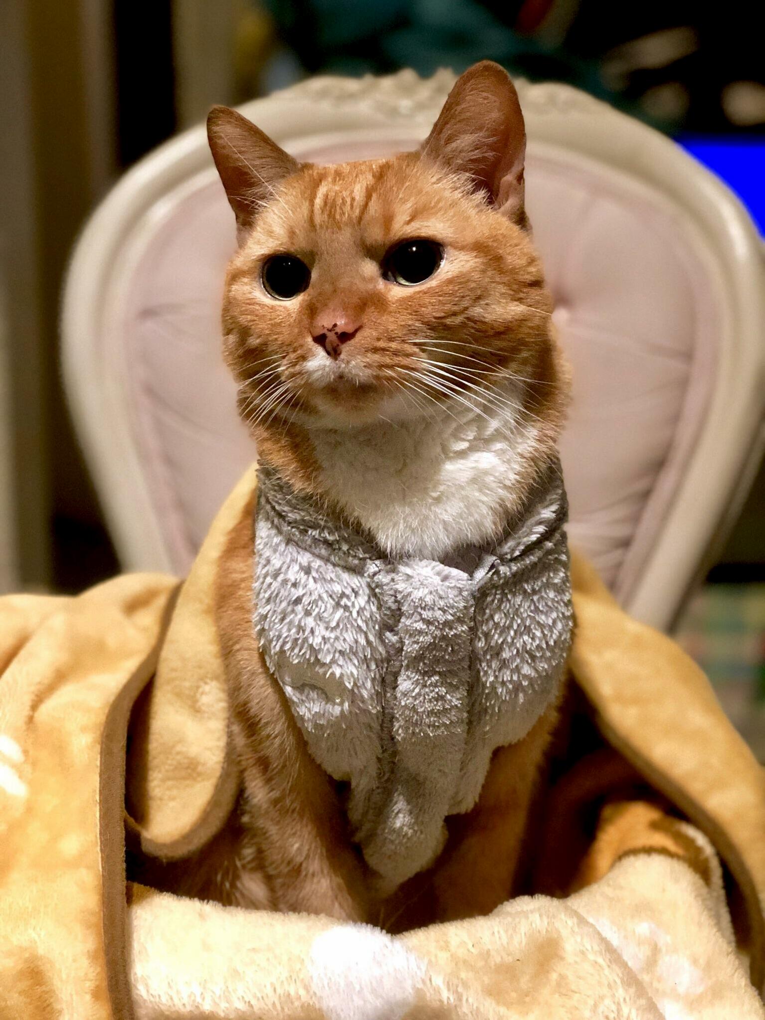My Baby Enjoying the Spoilt Life