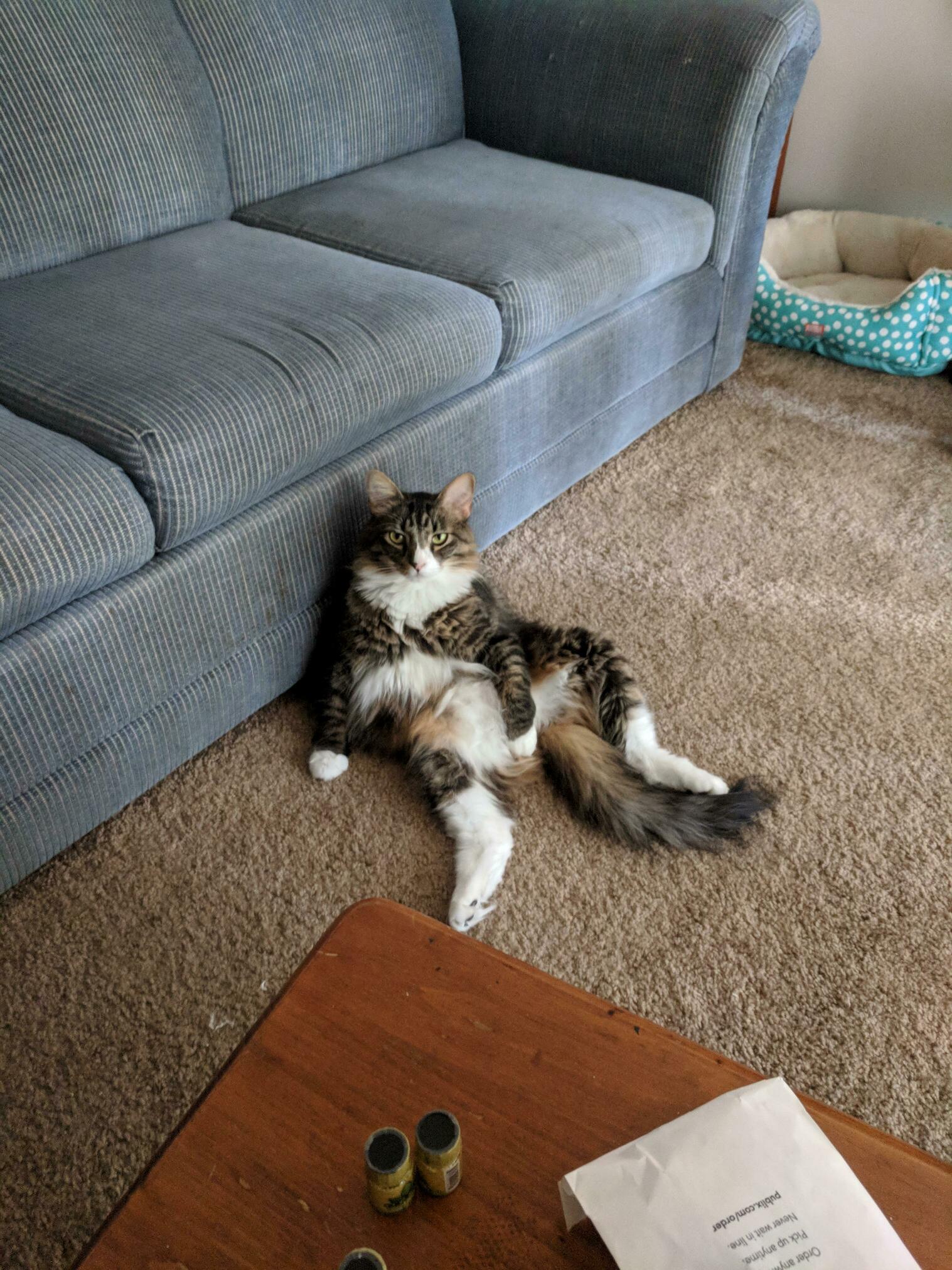 My Big Boy Hanging Out