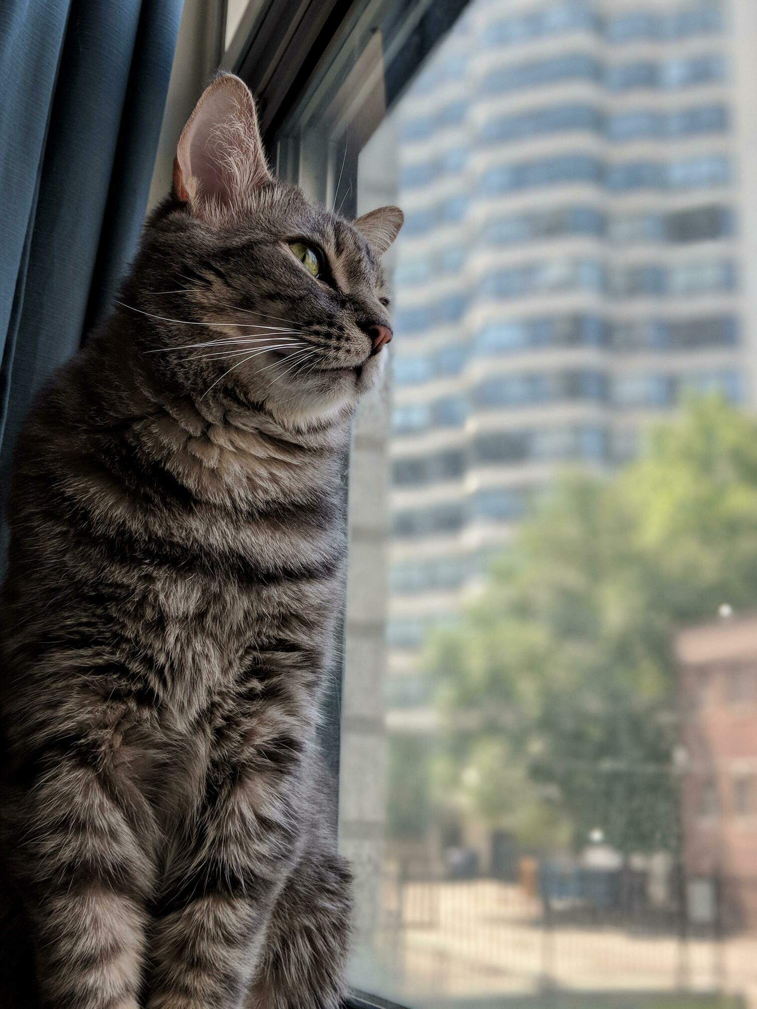 My Boy, Watching the Birds Fly By.