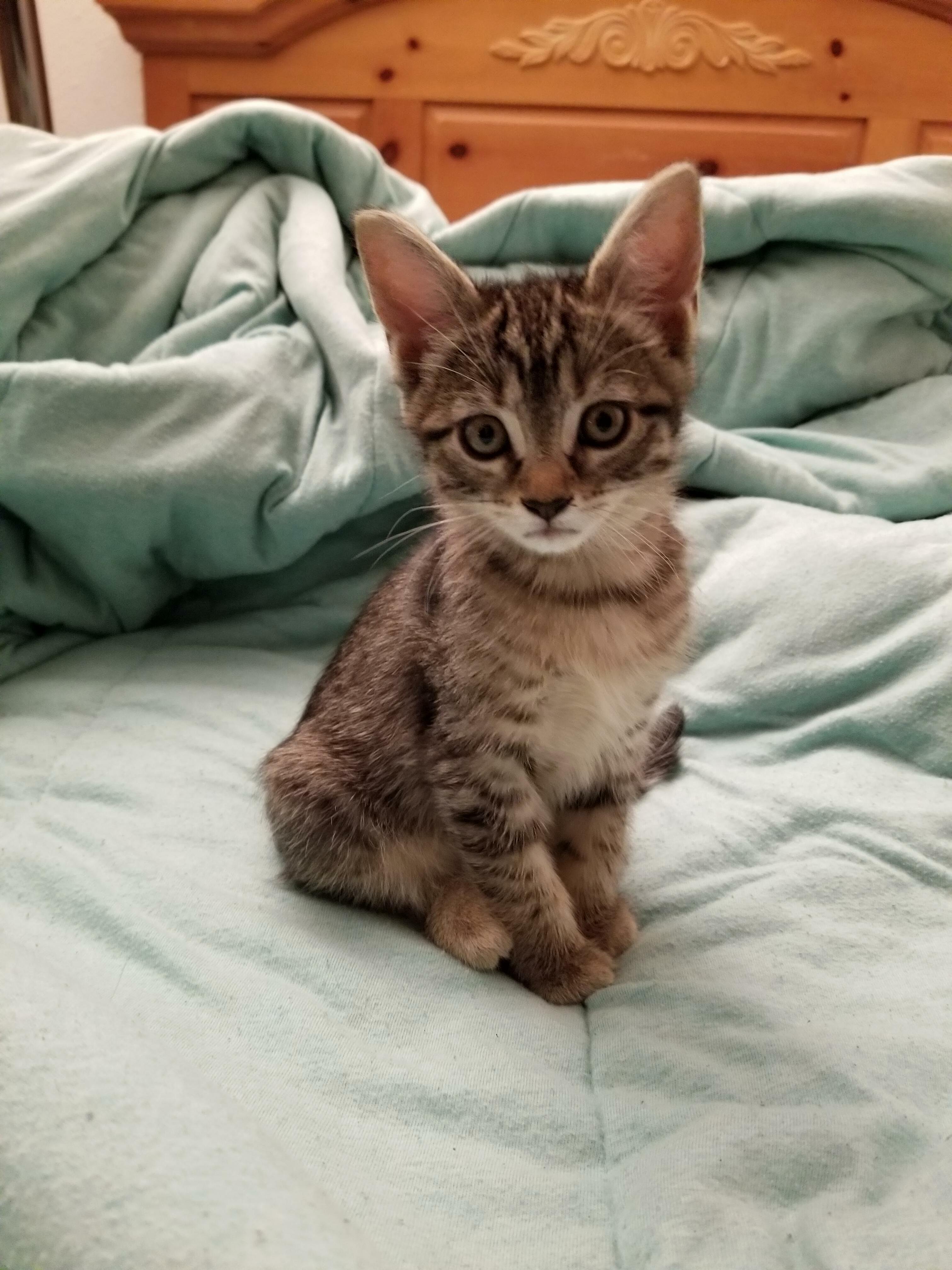 My Boyfriend Showed Up with Minerva at 2am, Such a Good Thing to Wake Up for at That Hour