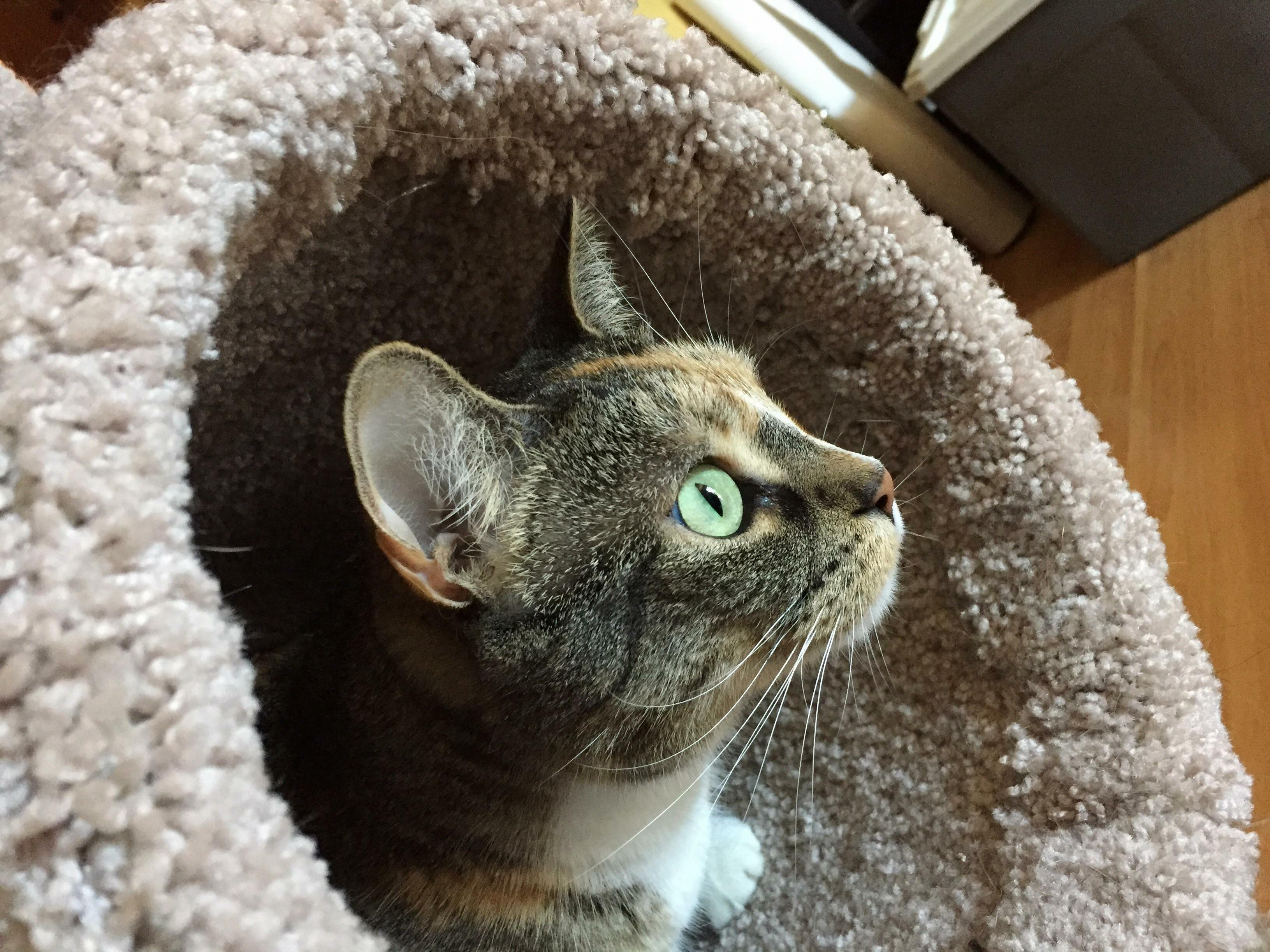 My Chatty Girl Rubi!