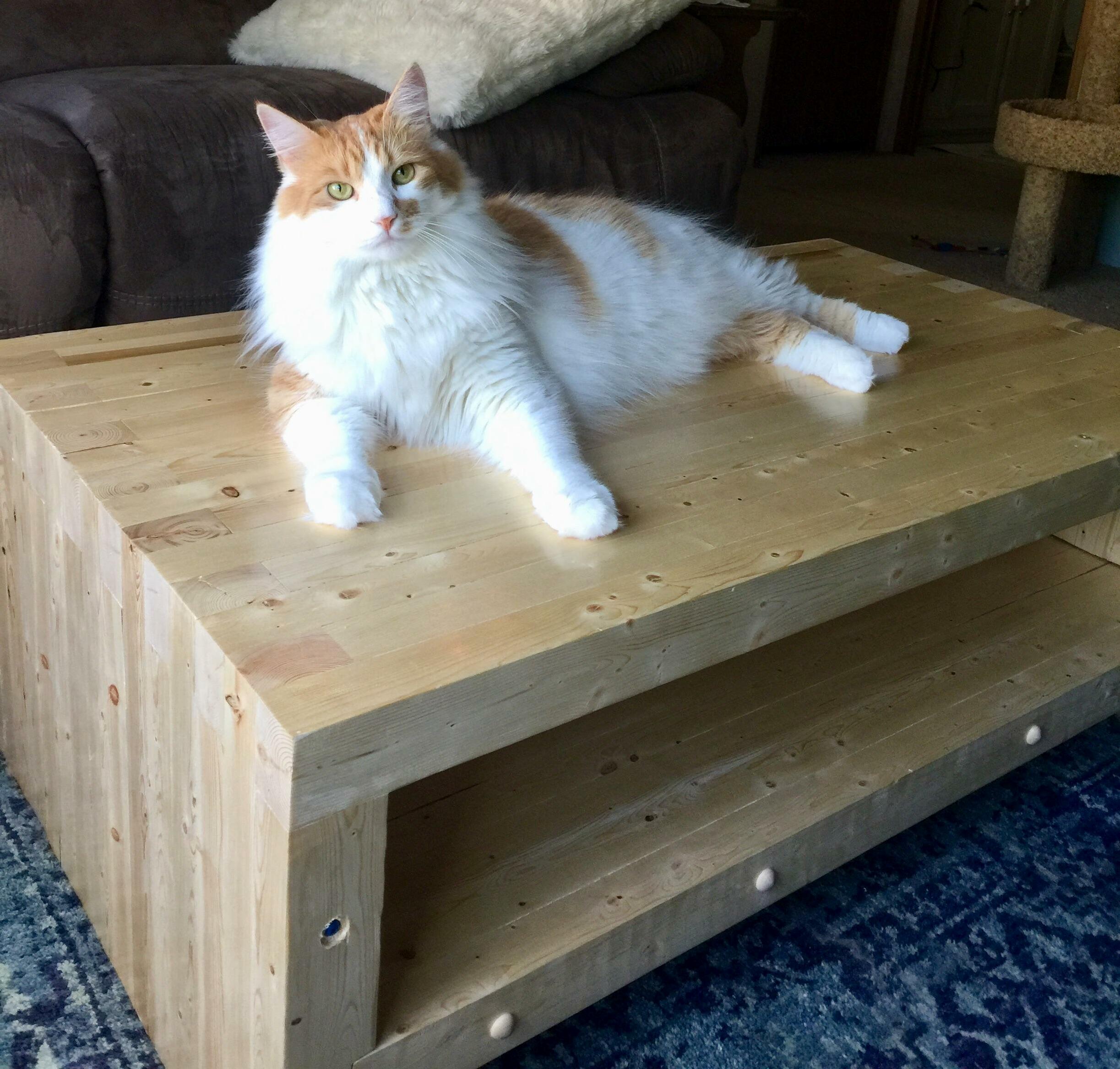 My Fluffy Guy Ben!