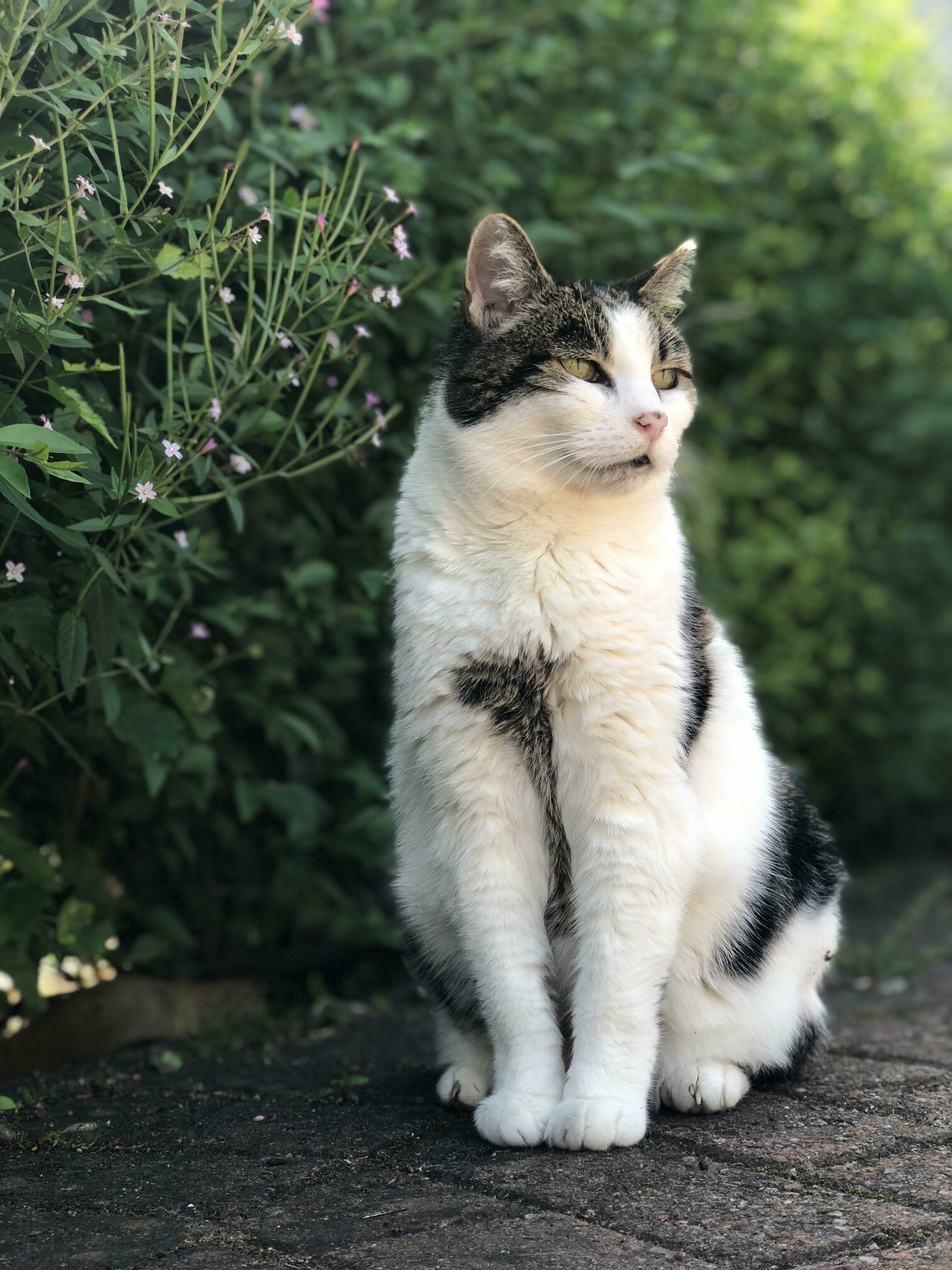 My Gorgeous 18 Year Old an Hour Before She Escaped Them Came Toddling Back As If Nothing Had Happened