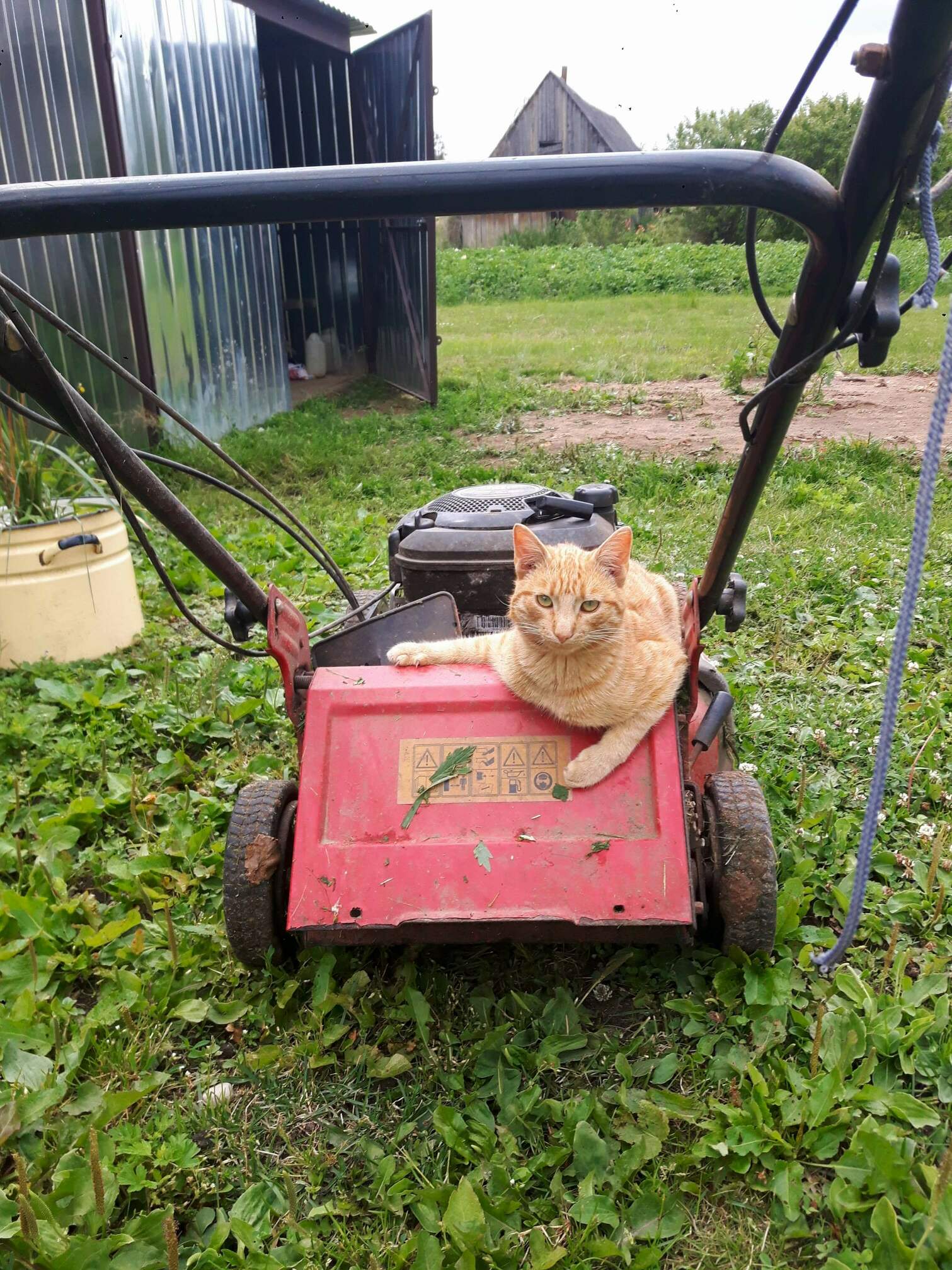 My Little Helper