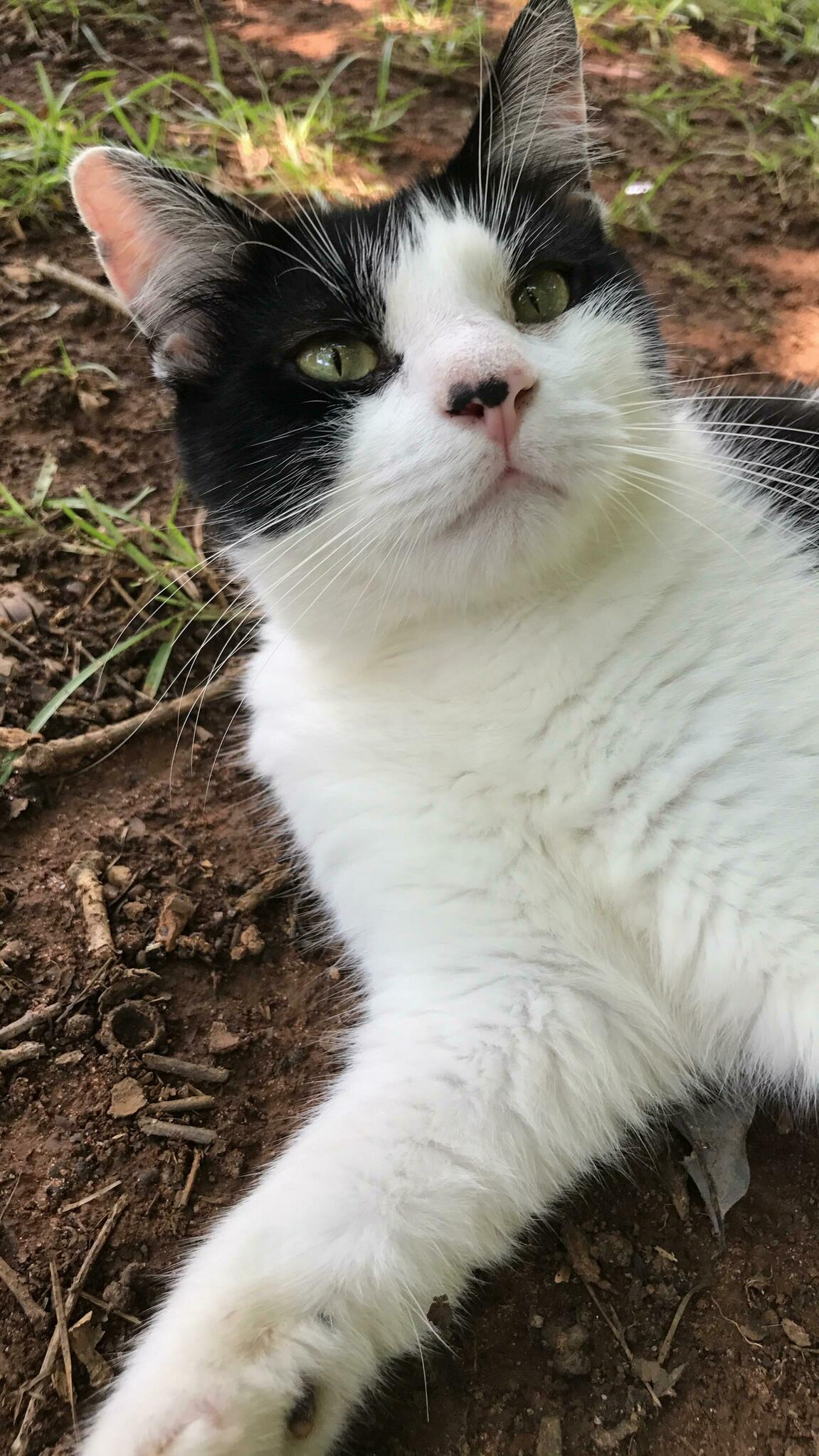 My Pathetic Butterfly Chaser, My Smooshy Baby, My Fat Cow, My Beautiful Idiot, My Handsome Man. I Miss You So Much, Einstein.