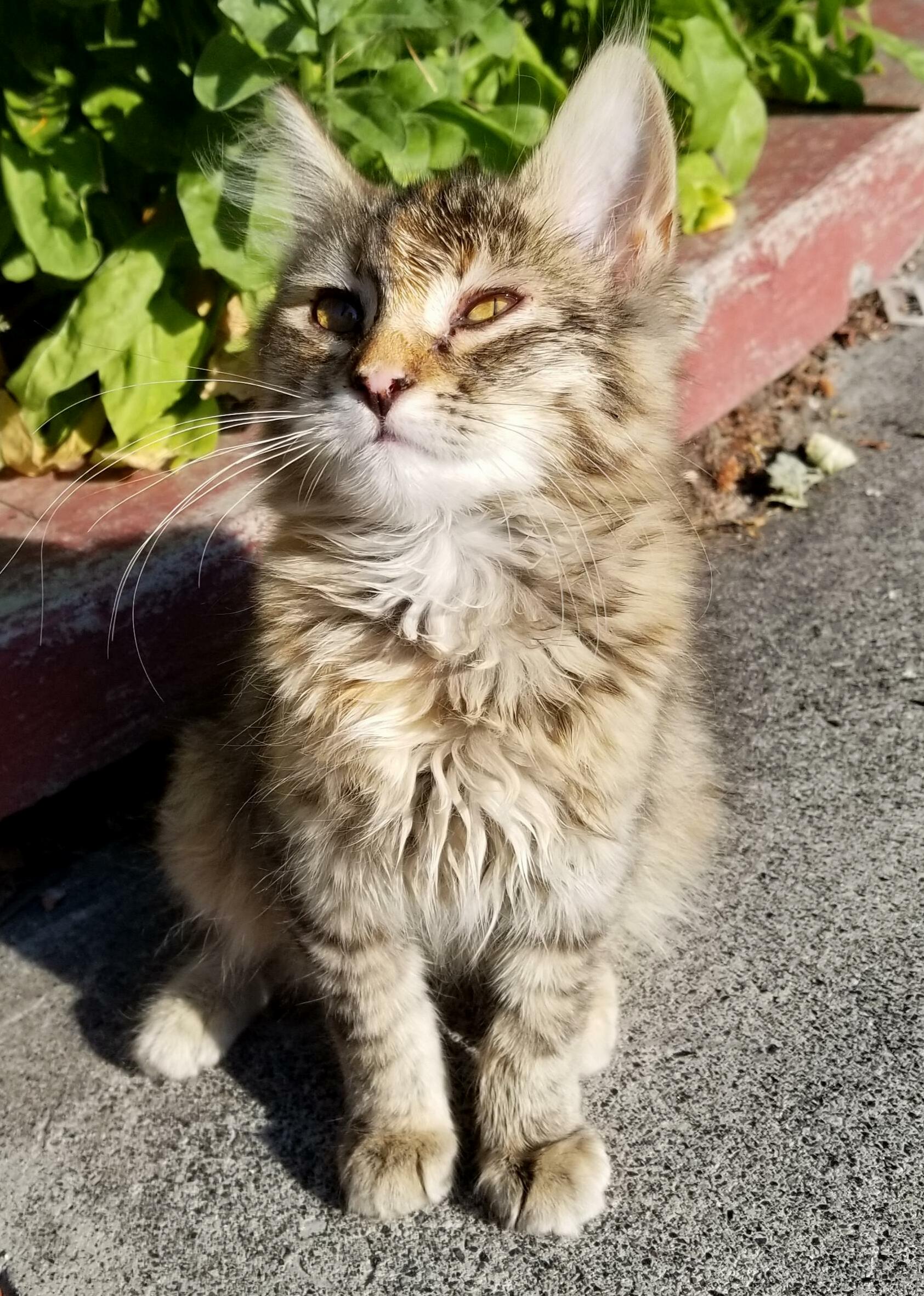 My Pretty Eyes Are Starting to Show!