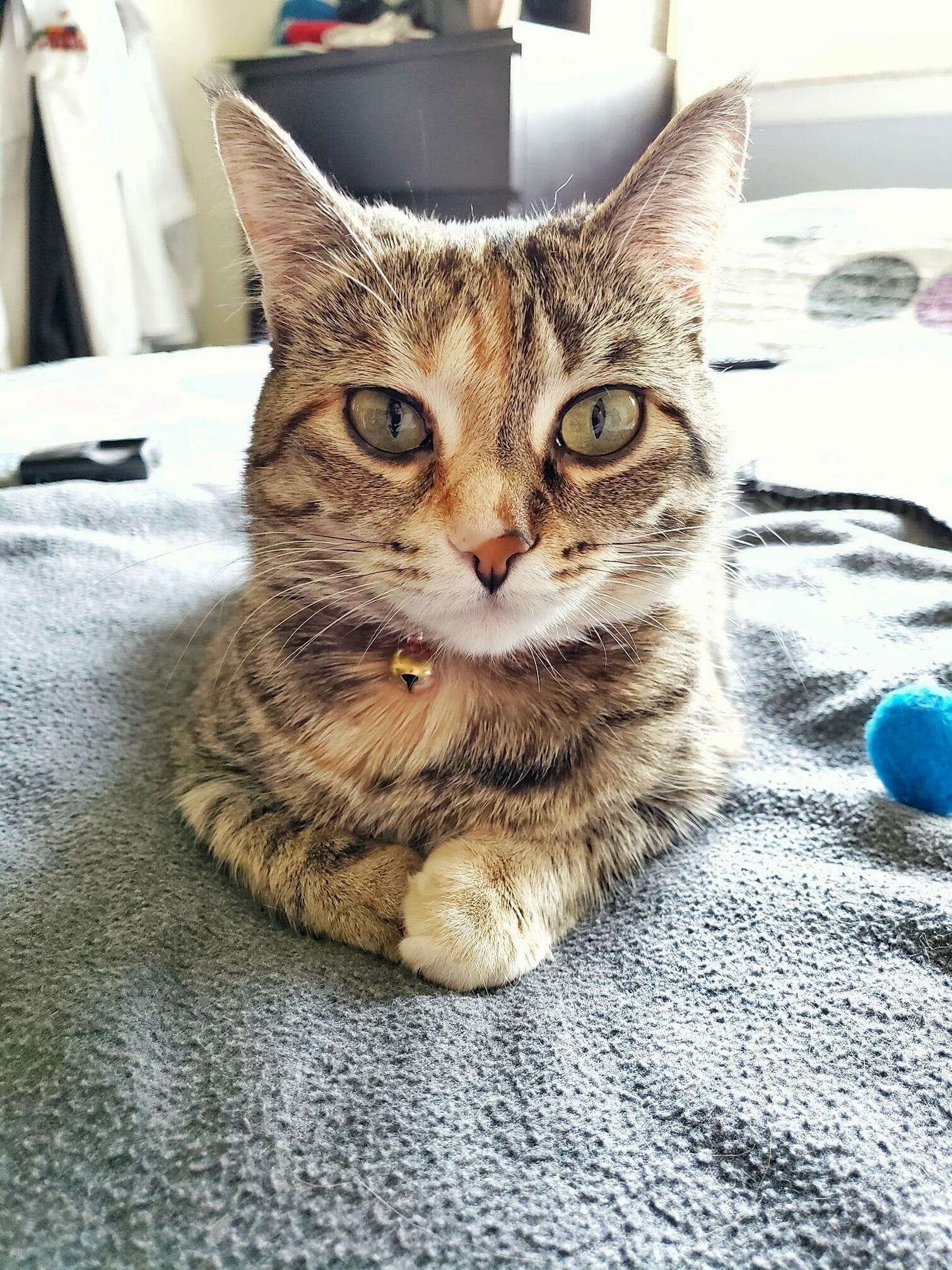 My Sweet Baby, Ethel