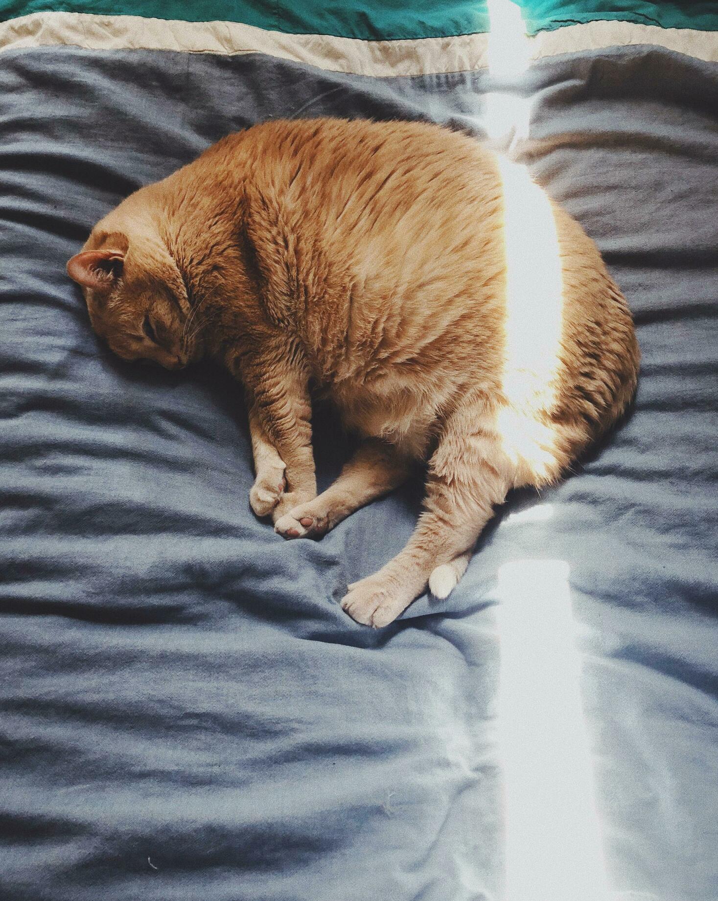 Nathans Afternoon Nap