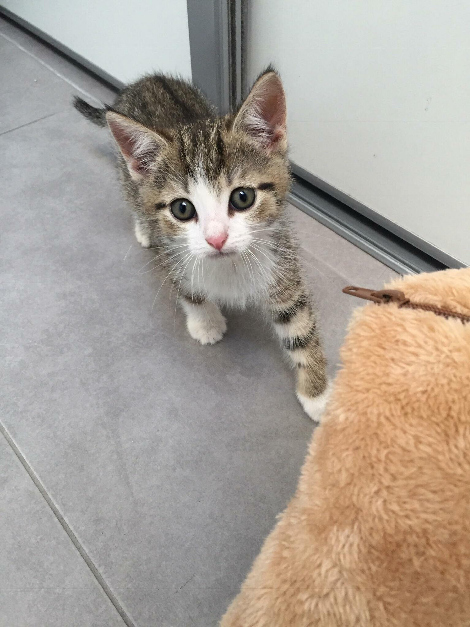 New Family Member. Anyone Has a Good Name for Her