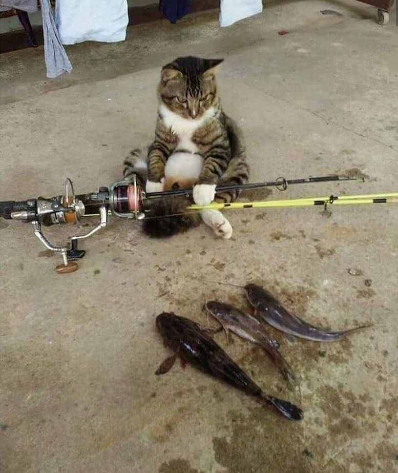 Oh, Fine Catch!