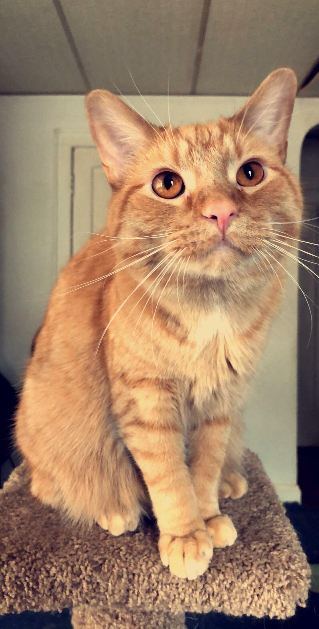 Photogenic Boy