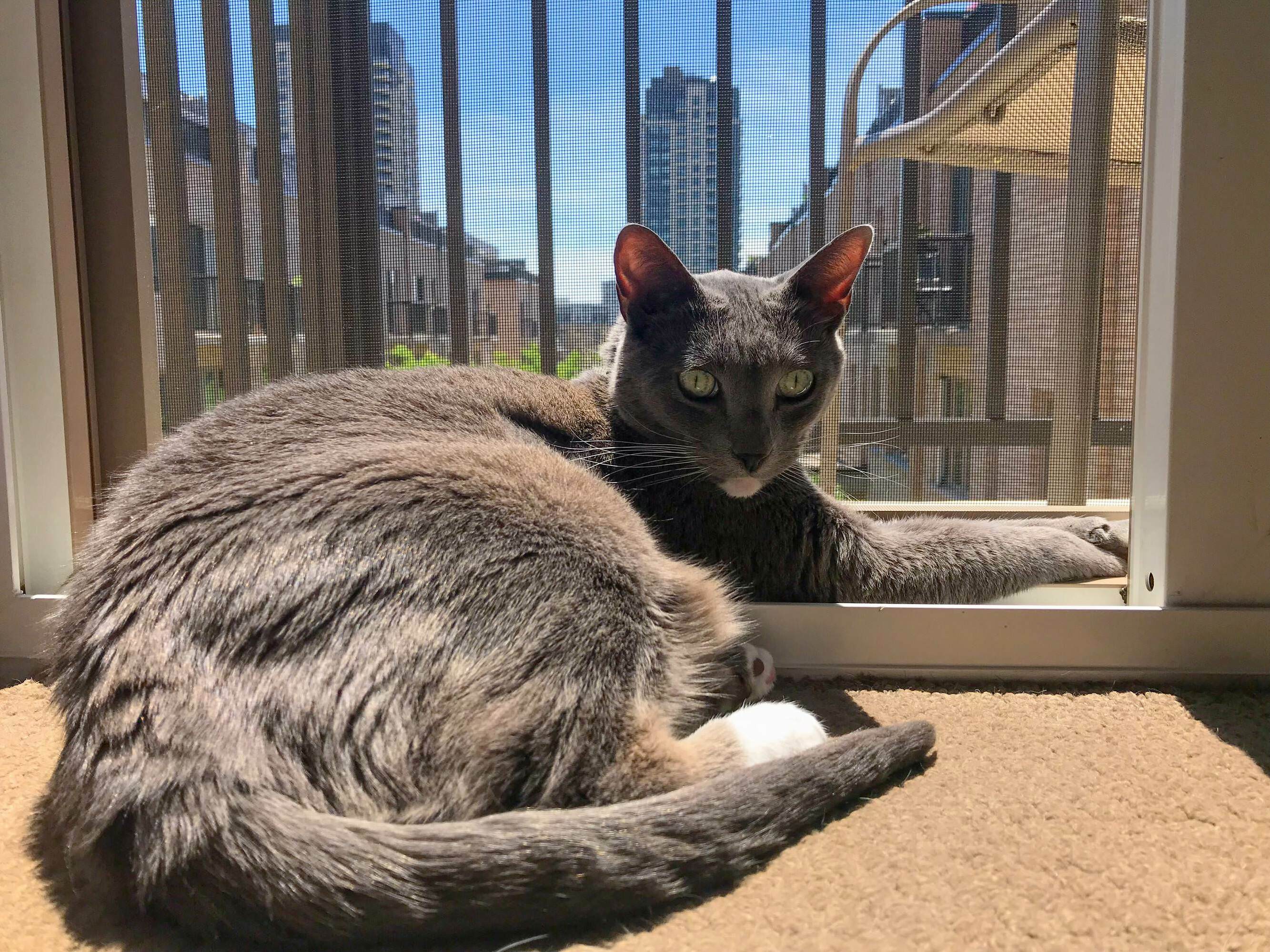 Reddit Meet Slippers My 10yr Old Sweet Heart.