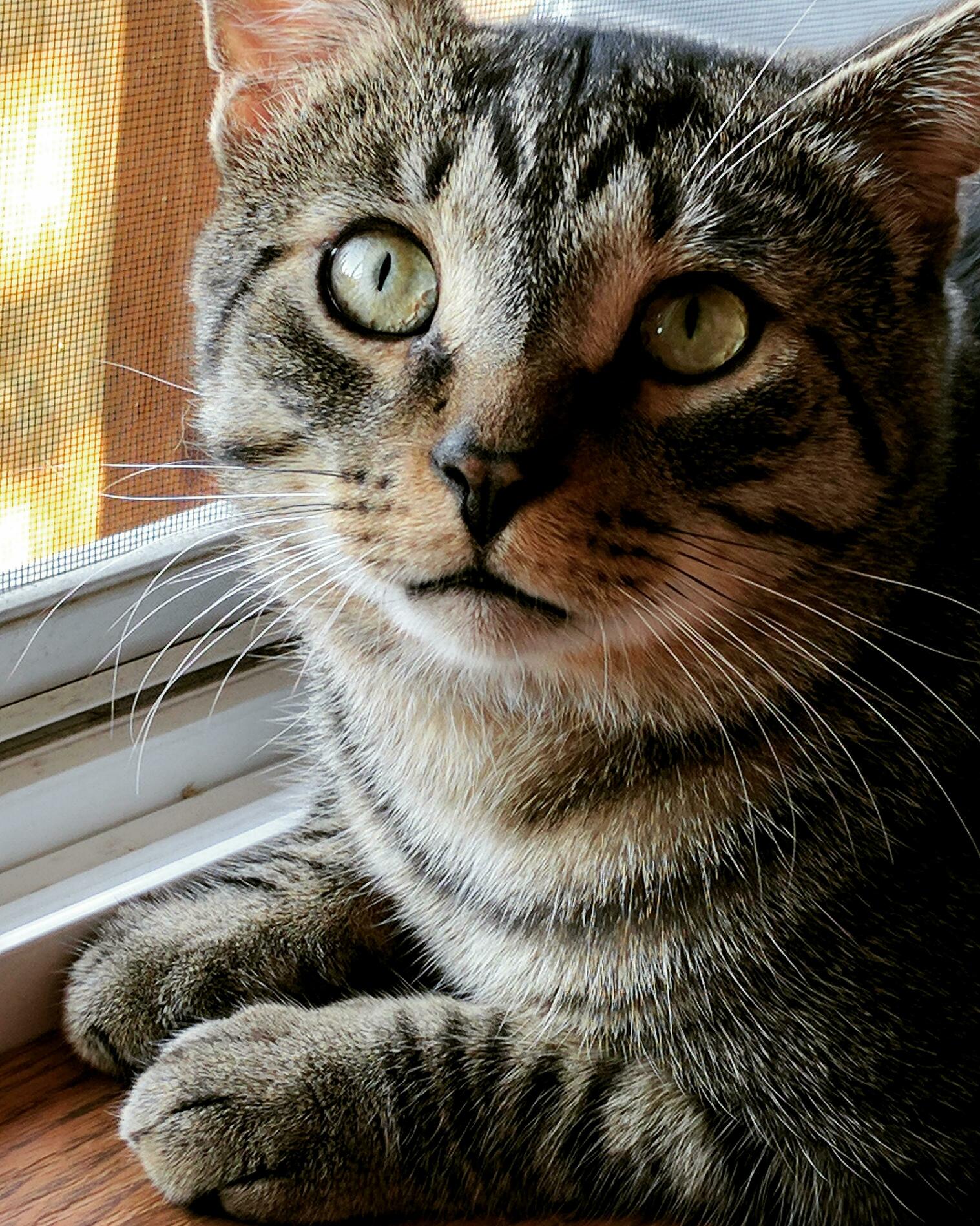 Reggie!