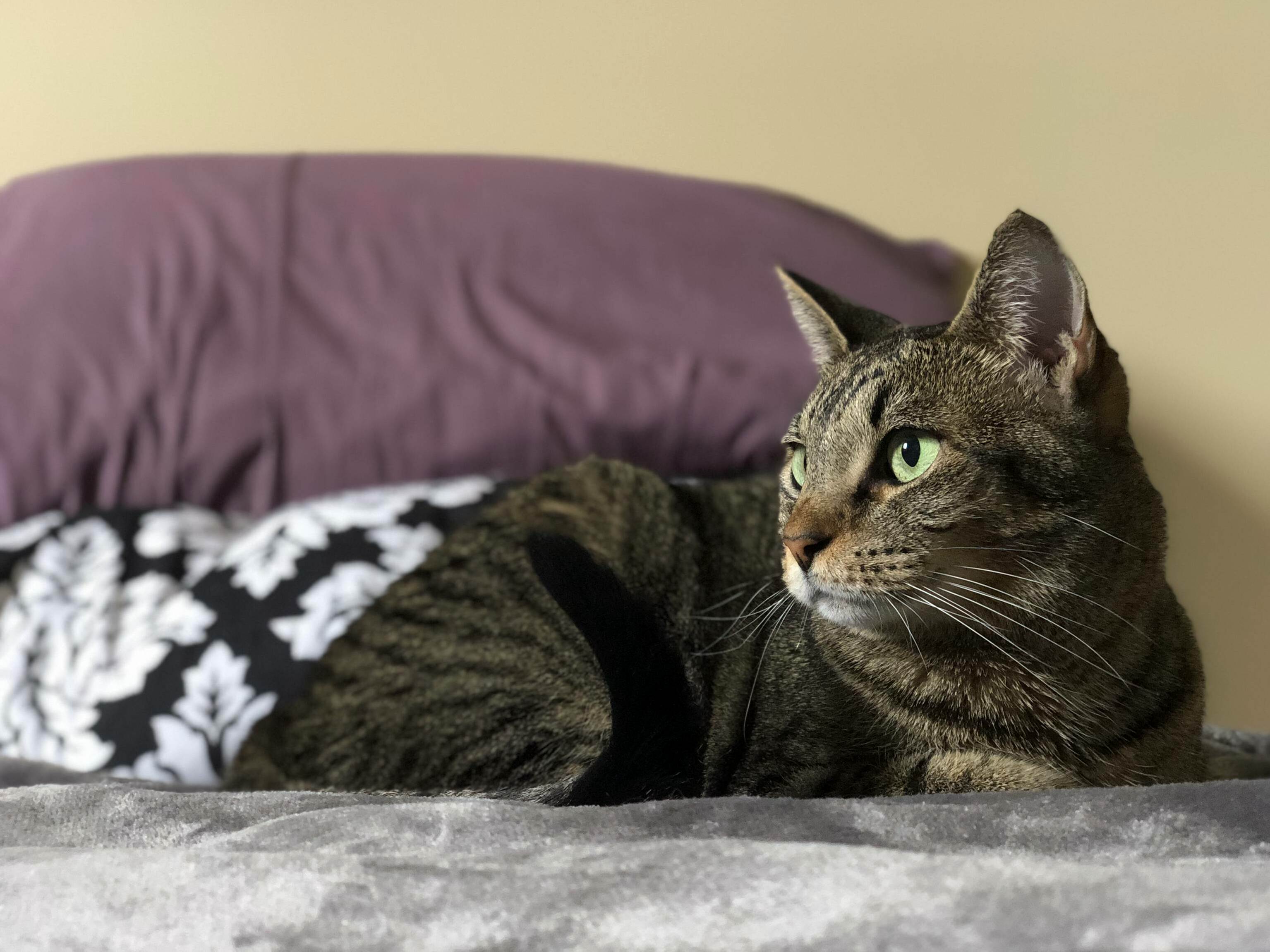 River Is the Perfect Model!
