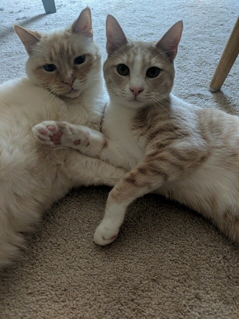 Sam and Owen Are Best Friends