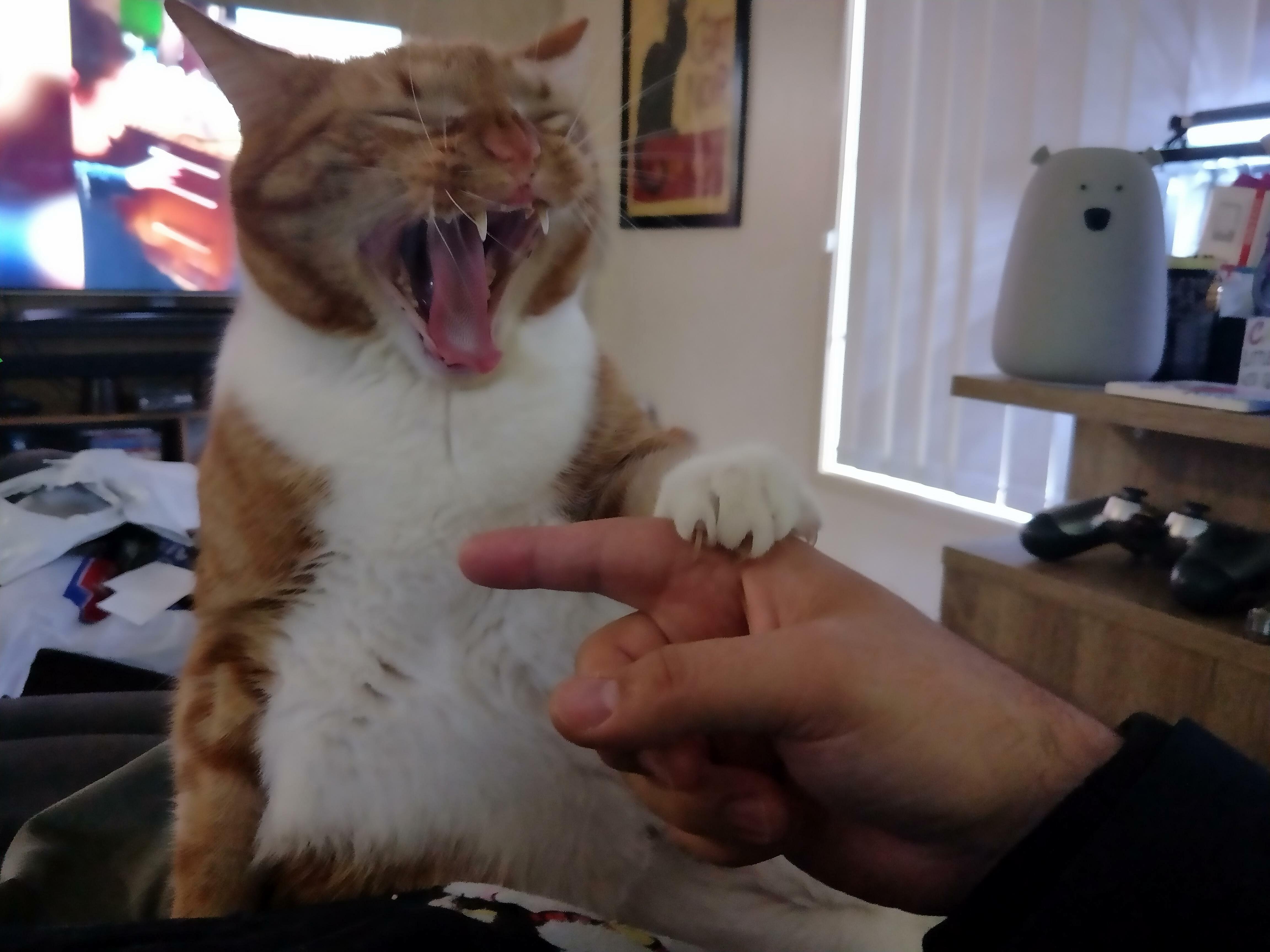 Say Ahh, Aaahhhhhhh