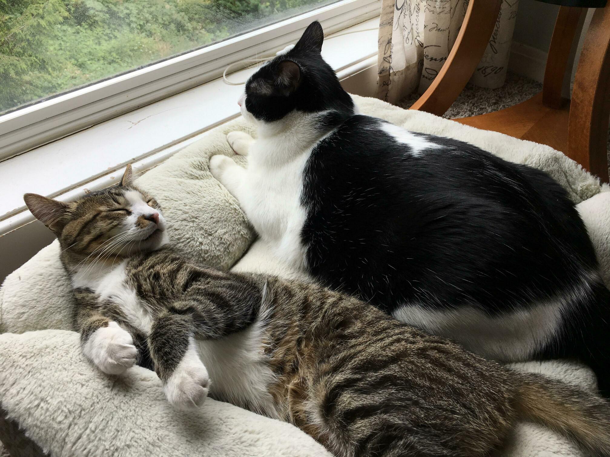 Settled Down