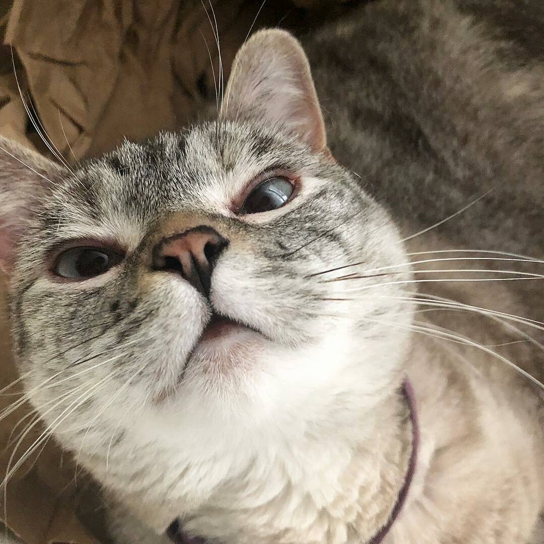 Sexy Eyes for Good Night Kisses
