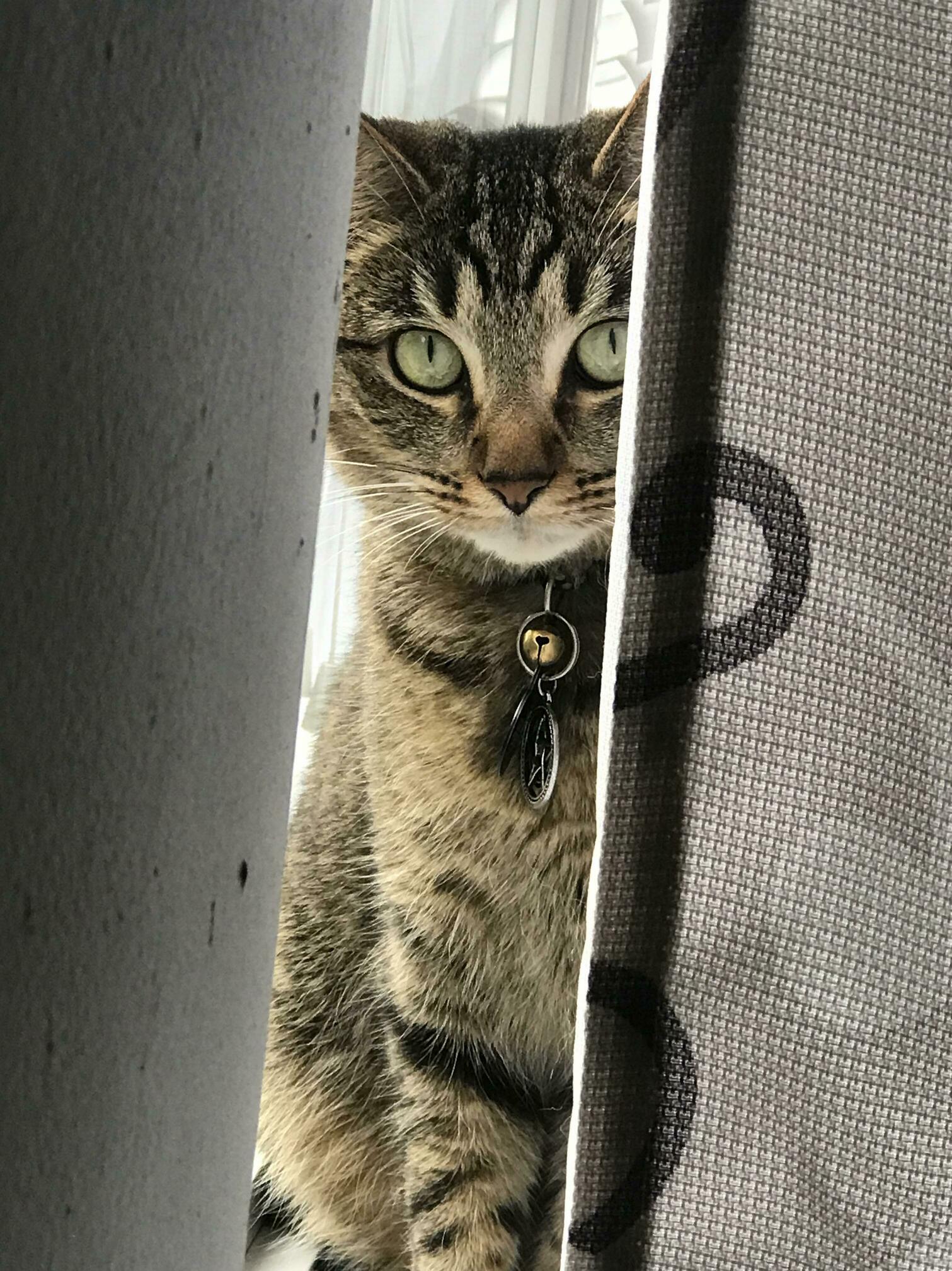 She Doesnt Usually Let Me Take Her Photo. Couldnt Miss This Beautiful Opportunity.
