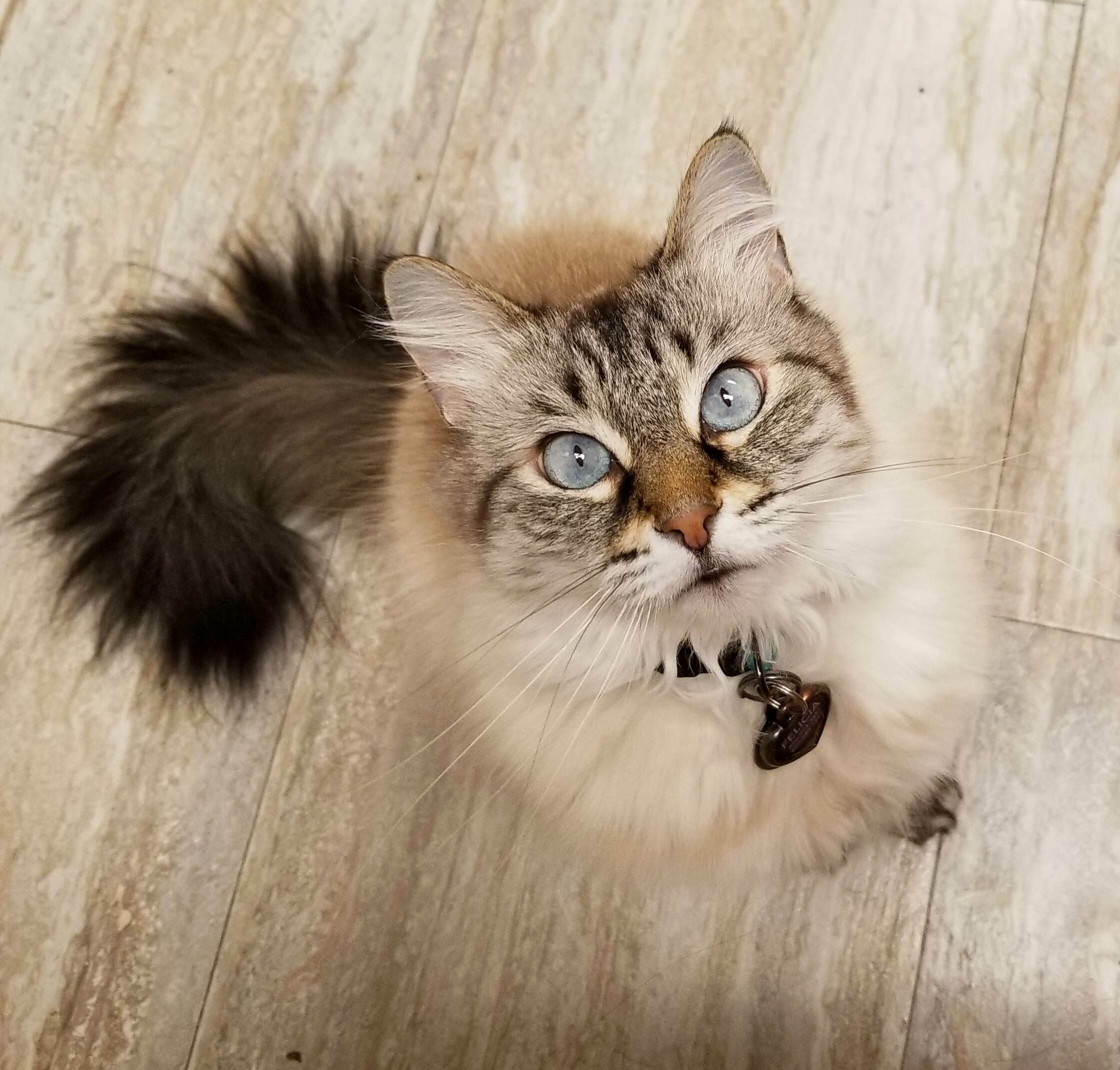 She Gets Prettier Every Day