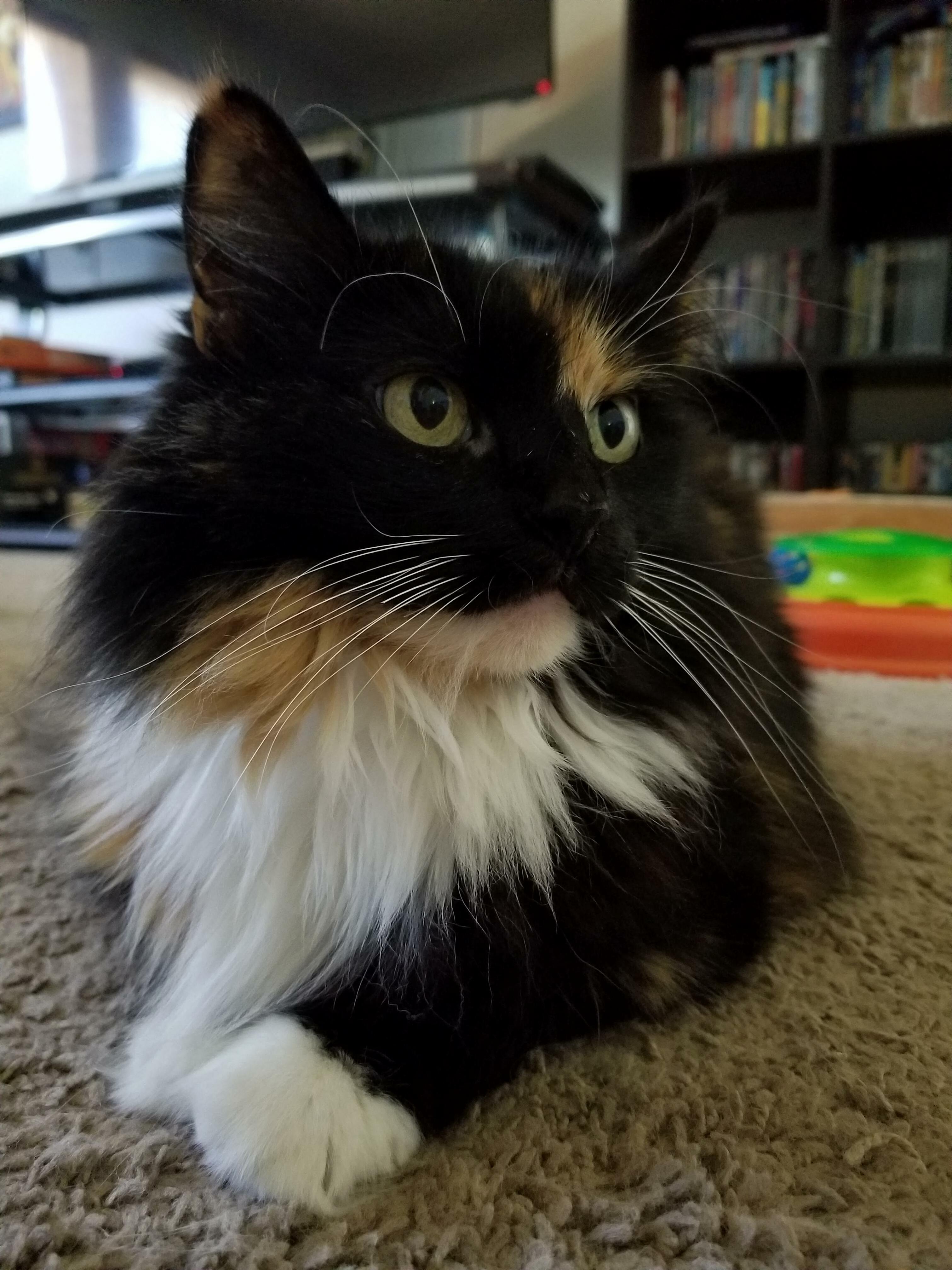 She Is Pretty and She Knows It.