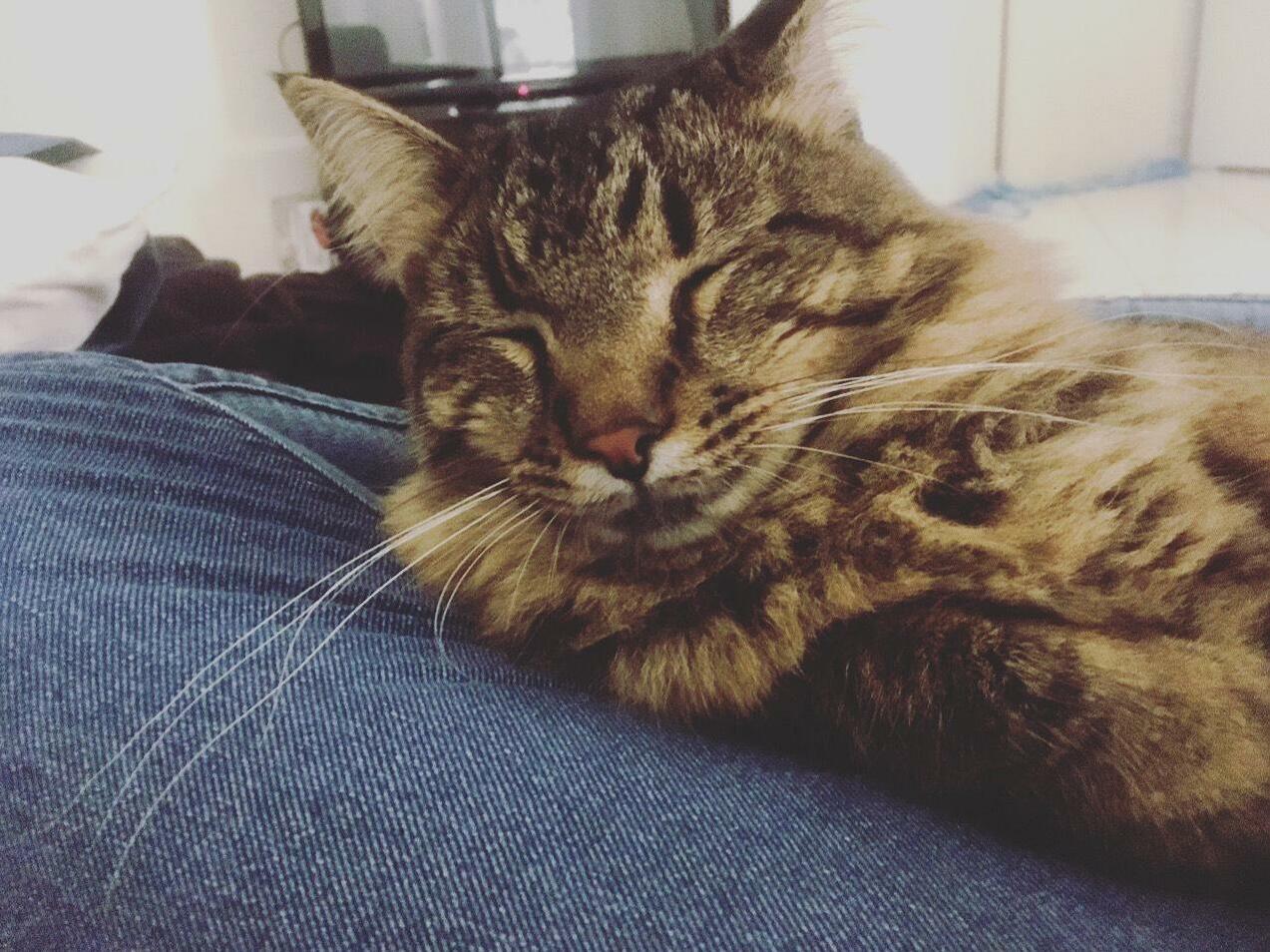 Sleeping Soundly After the Cyclone