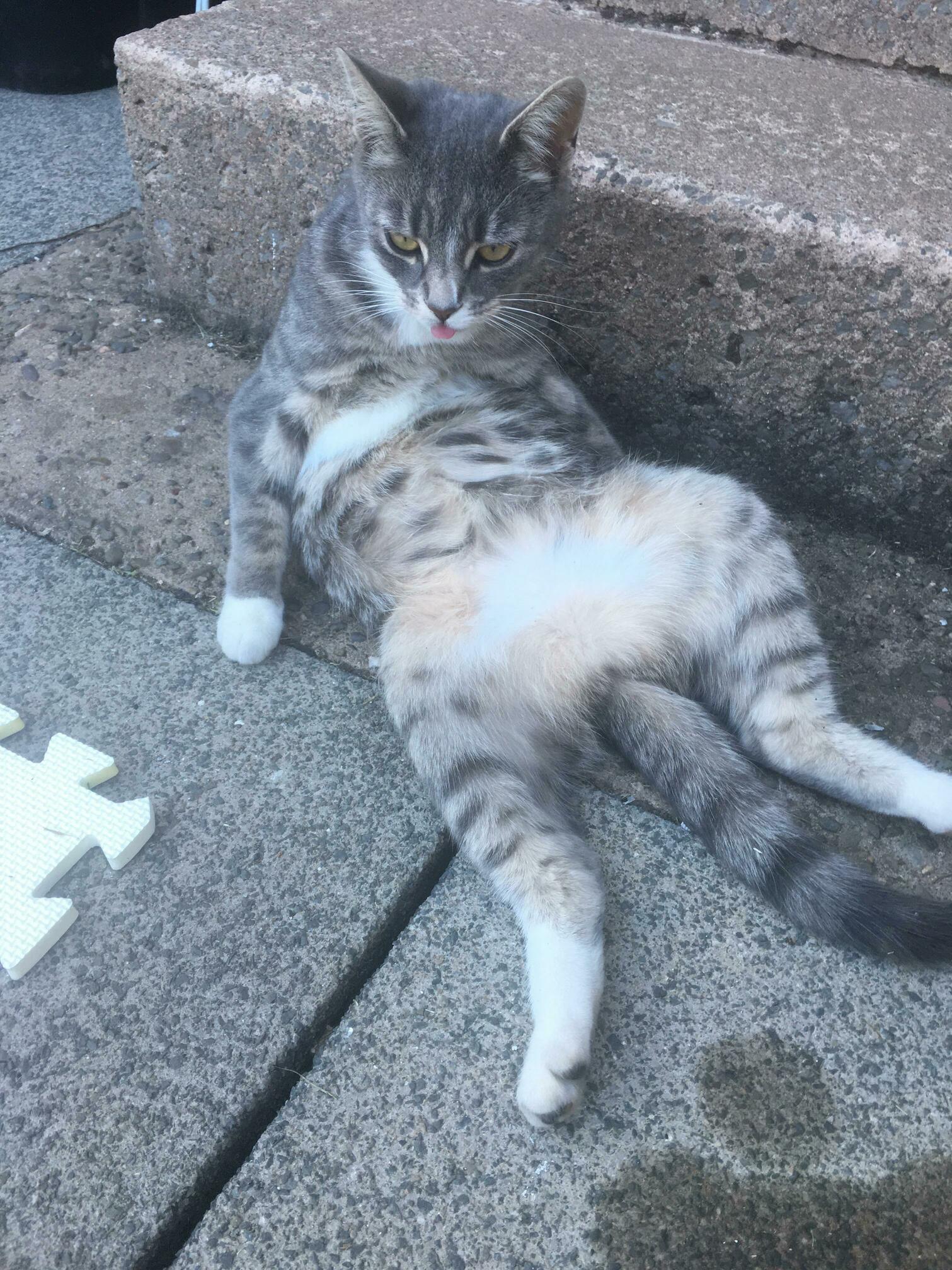 So Graceful