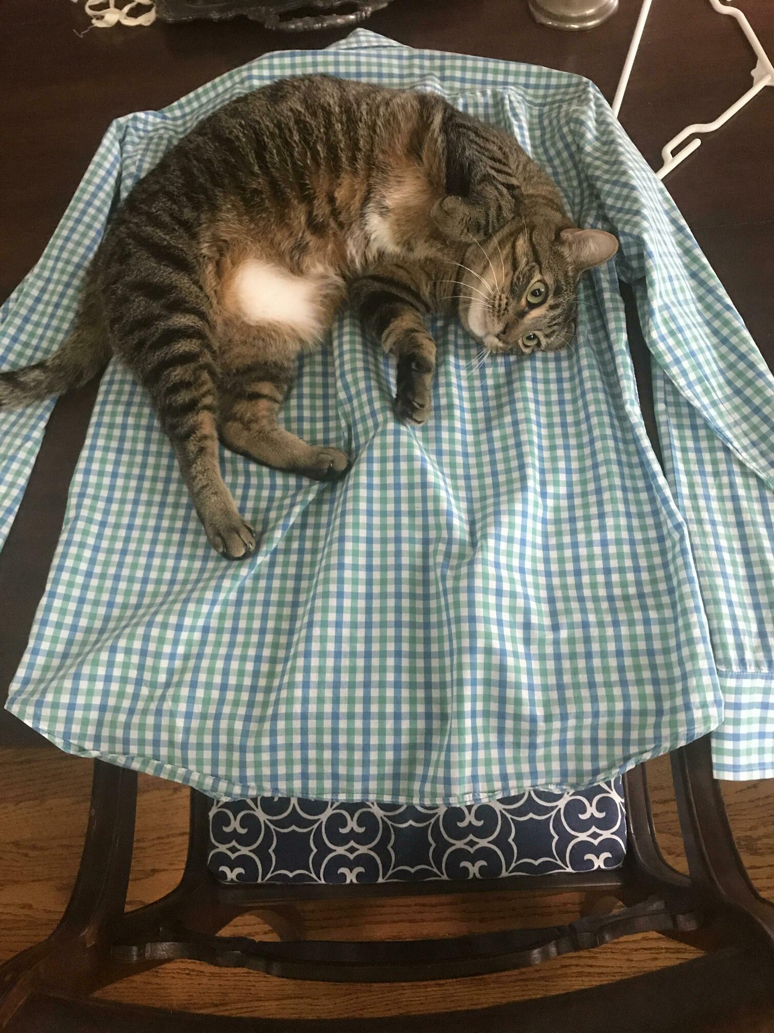 Someone Is Helping Me with Laundry Today.