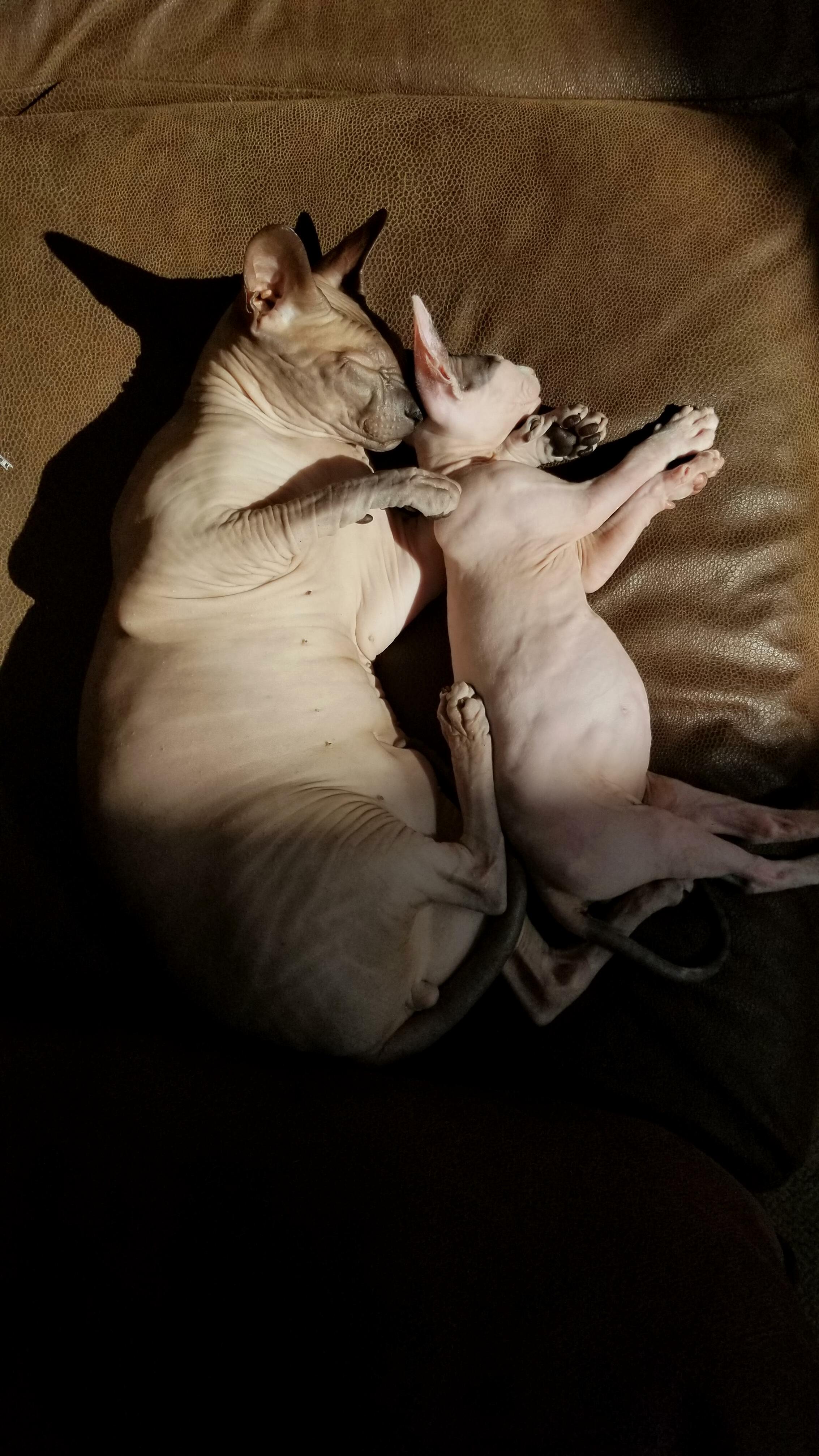 Spooky and Monsoon